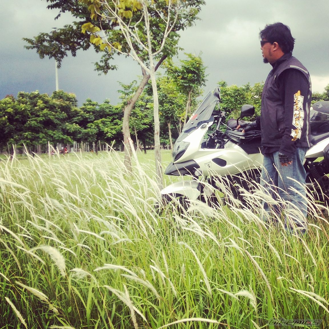 Photo 2733117