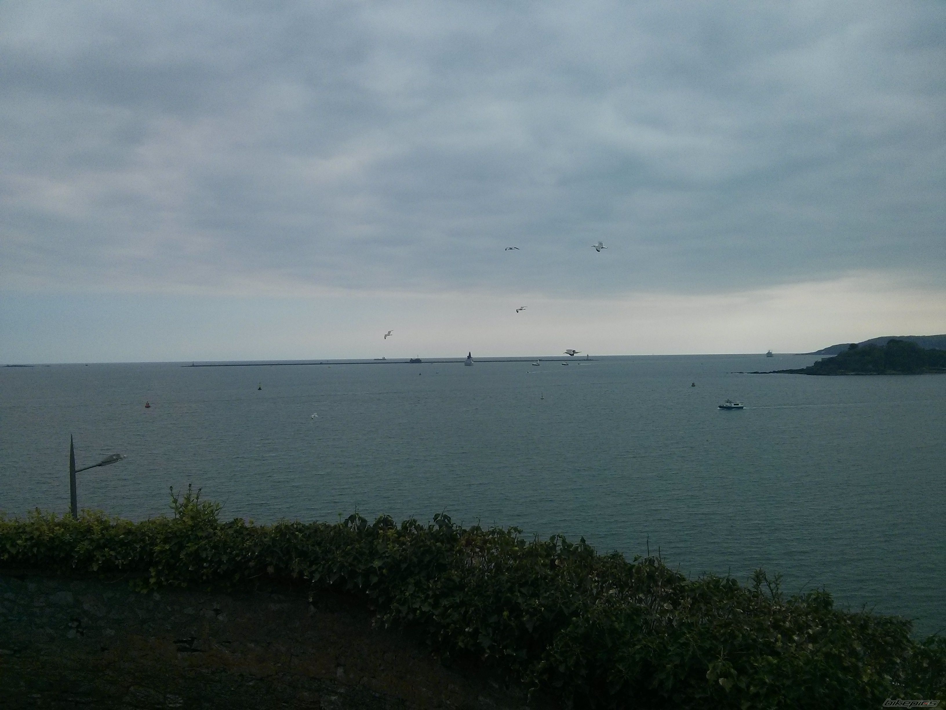 Photo 2733133