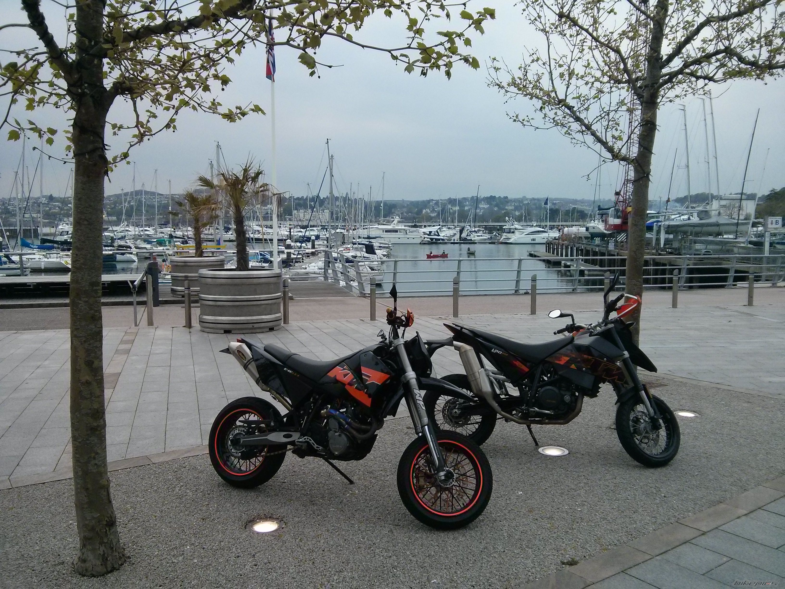 Photo 2733155