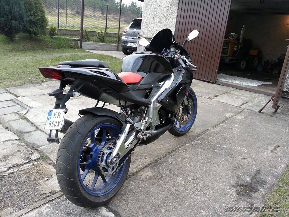 Photo 2733206