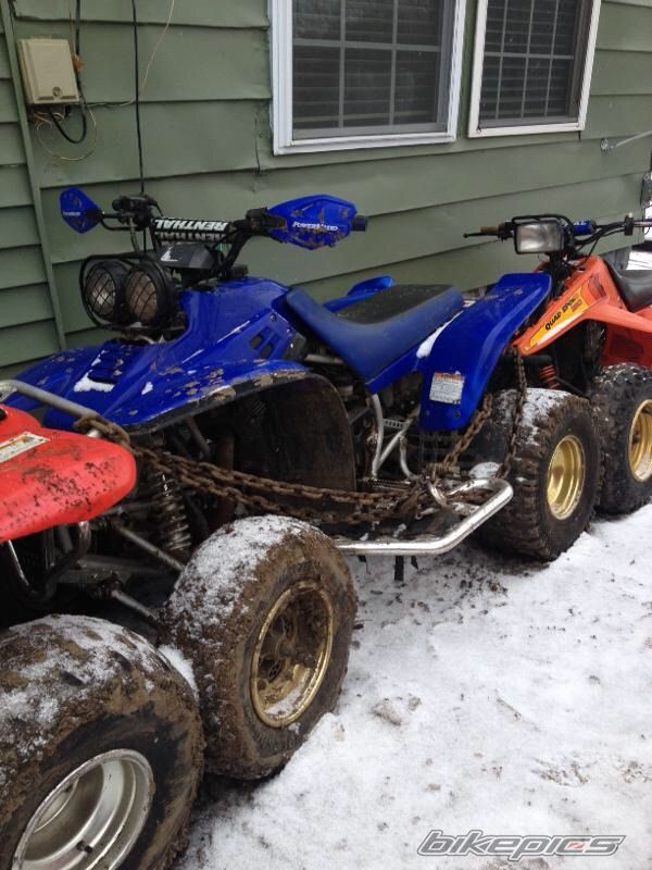 Photo 2733259