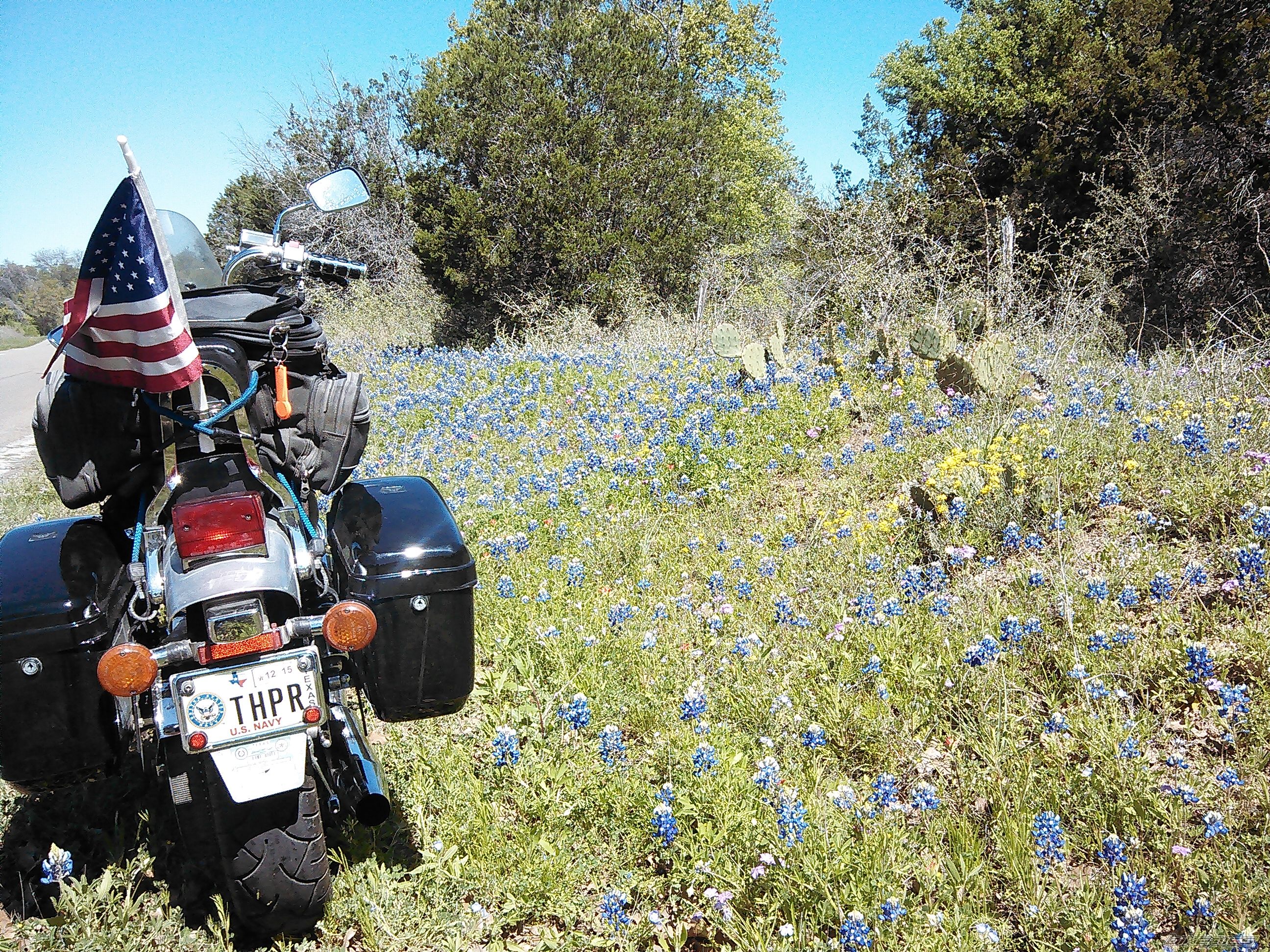 Bike Photo 2733303
