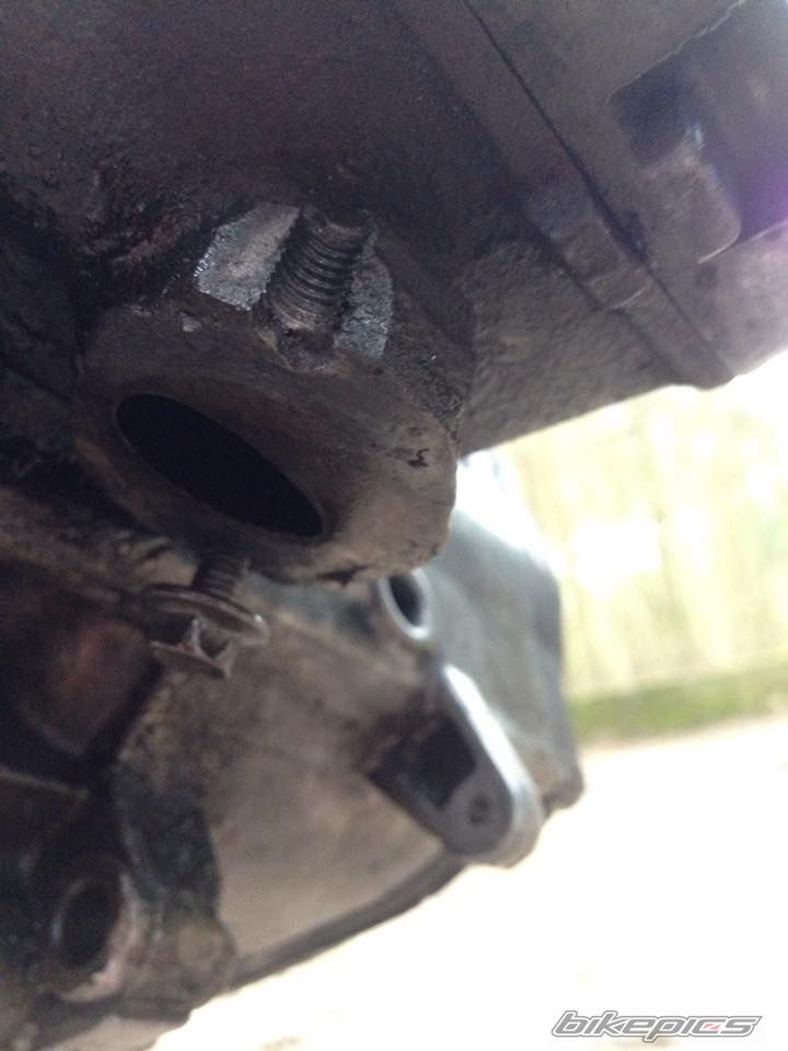 Photo 2733338