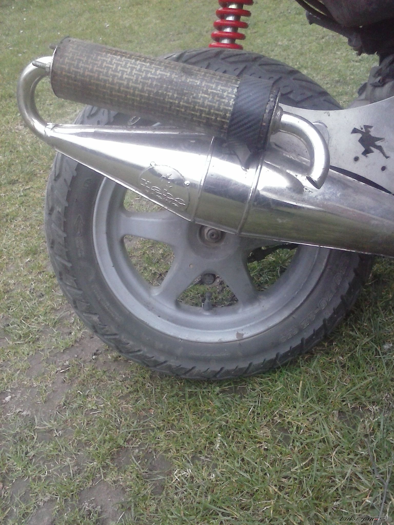 Photo 2733364
