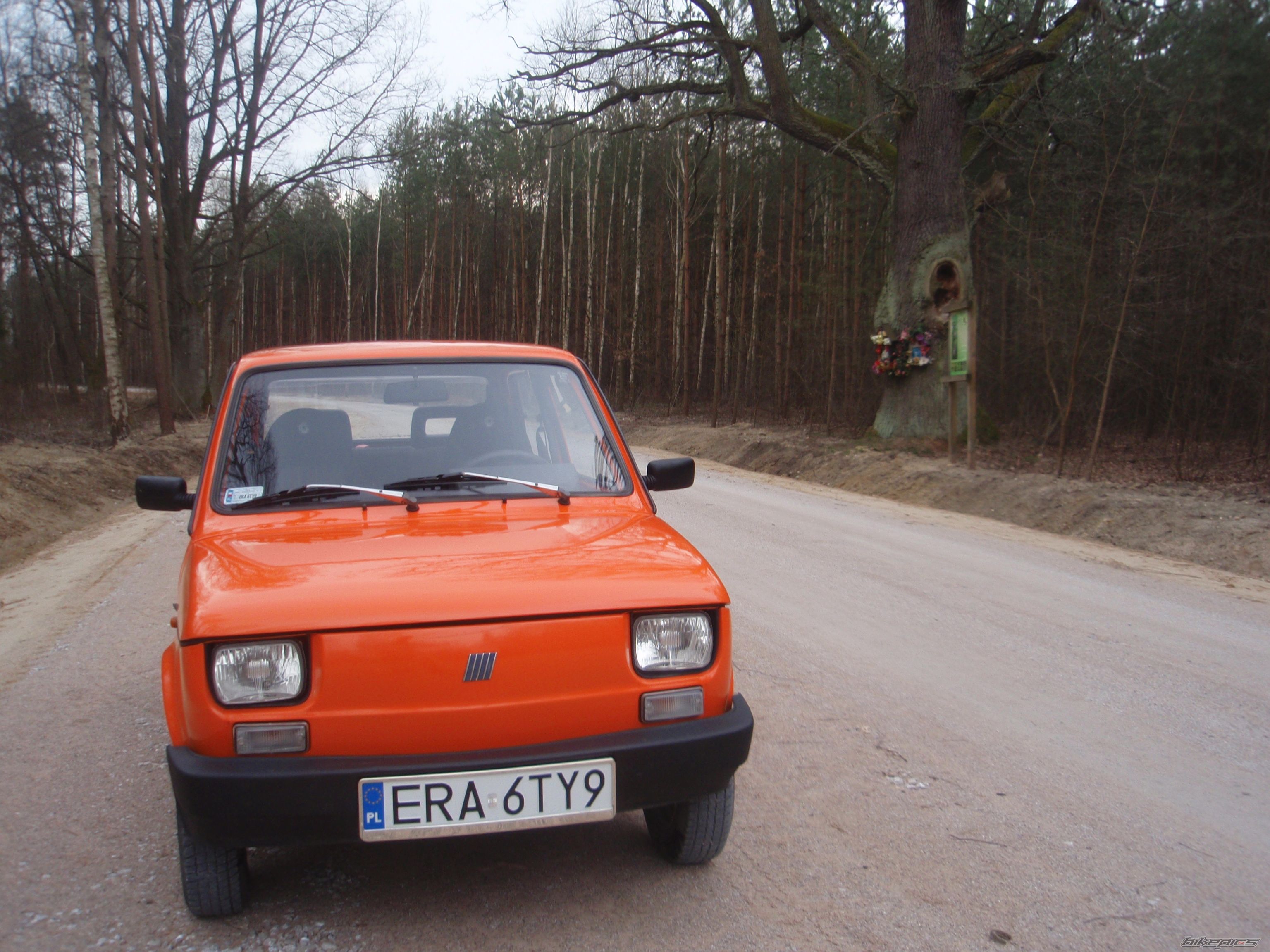 Photo 2733373