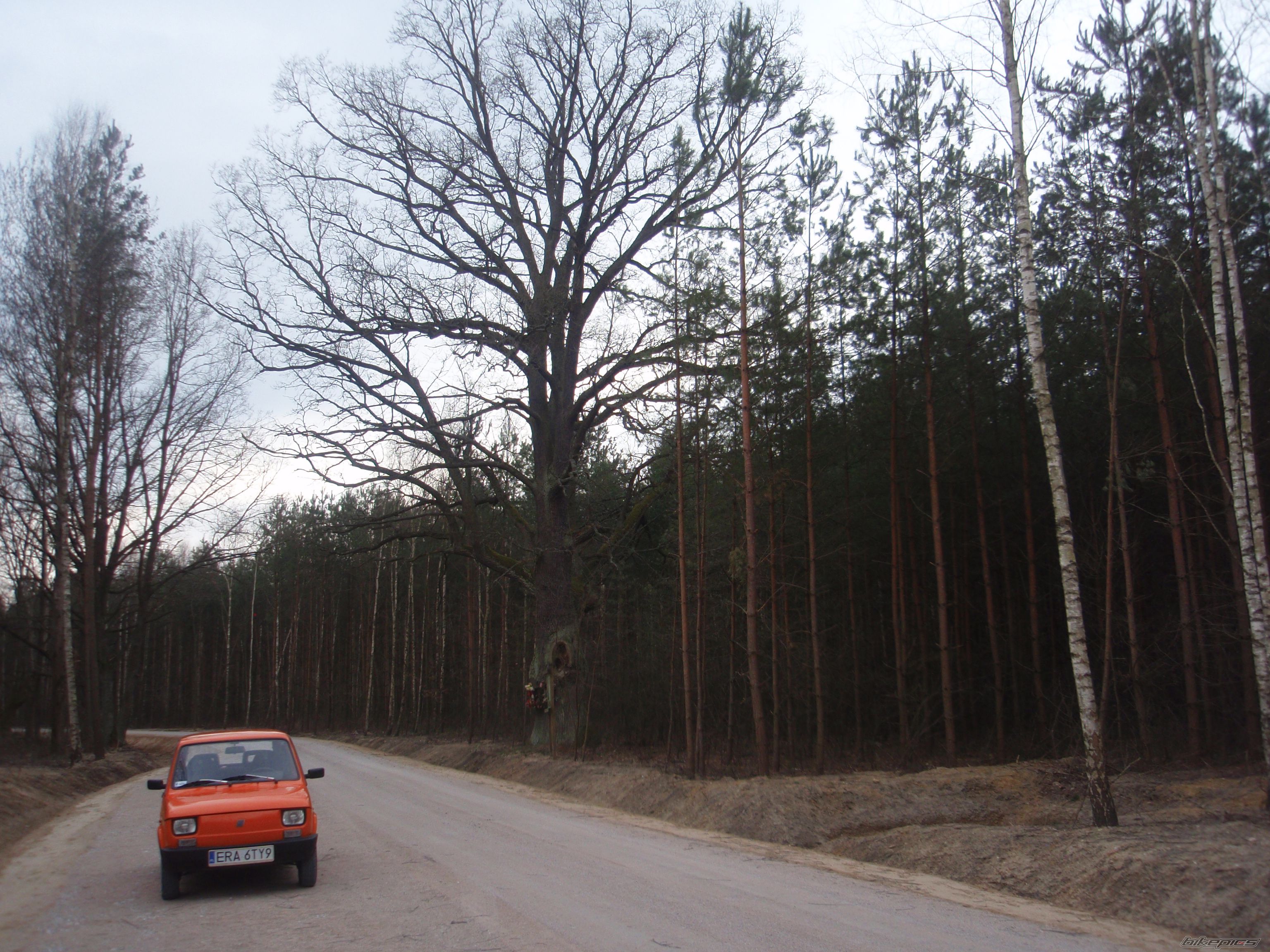 Photo 2733382