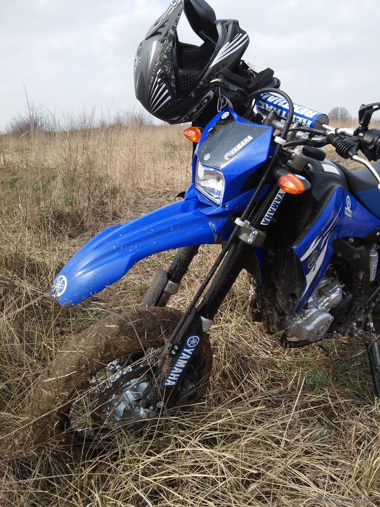 Photo 2733461