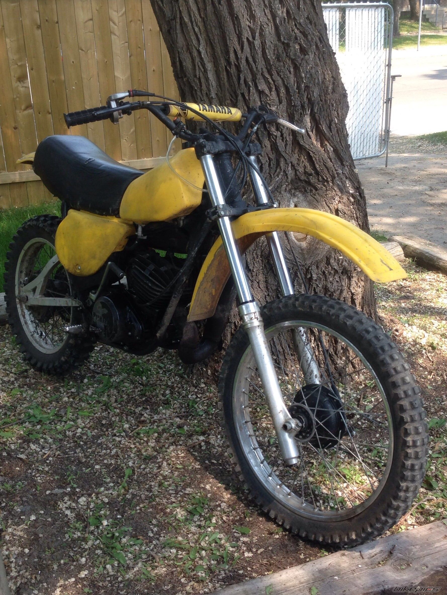 Photo 2733547