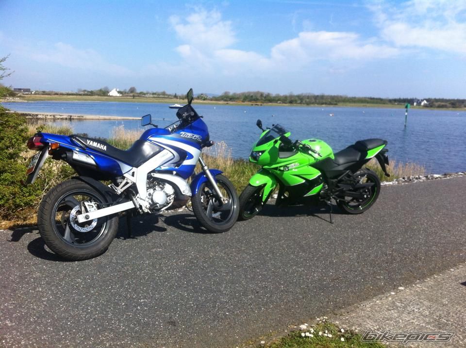 Photo 2733579