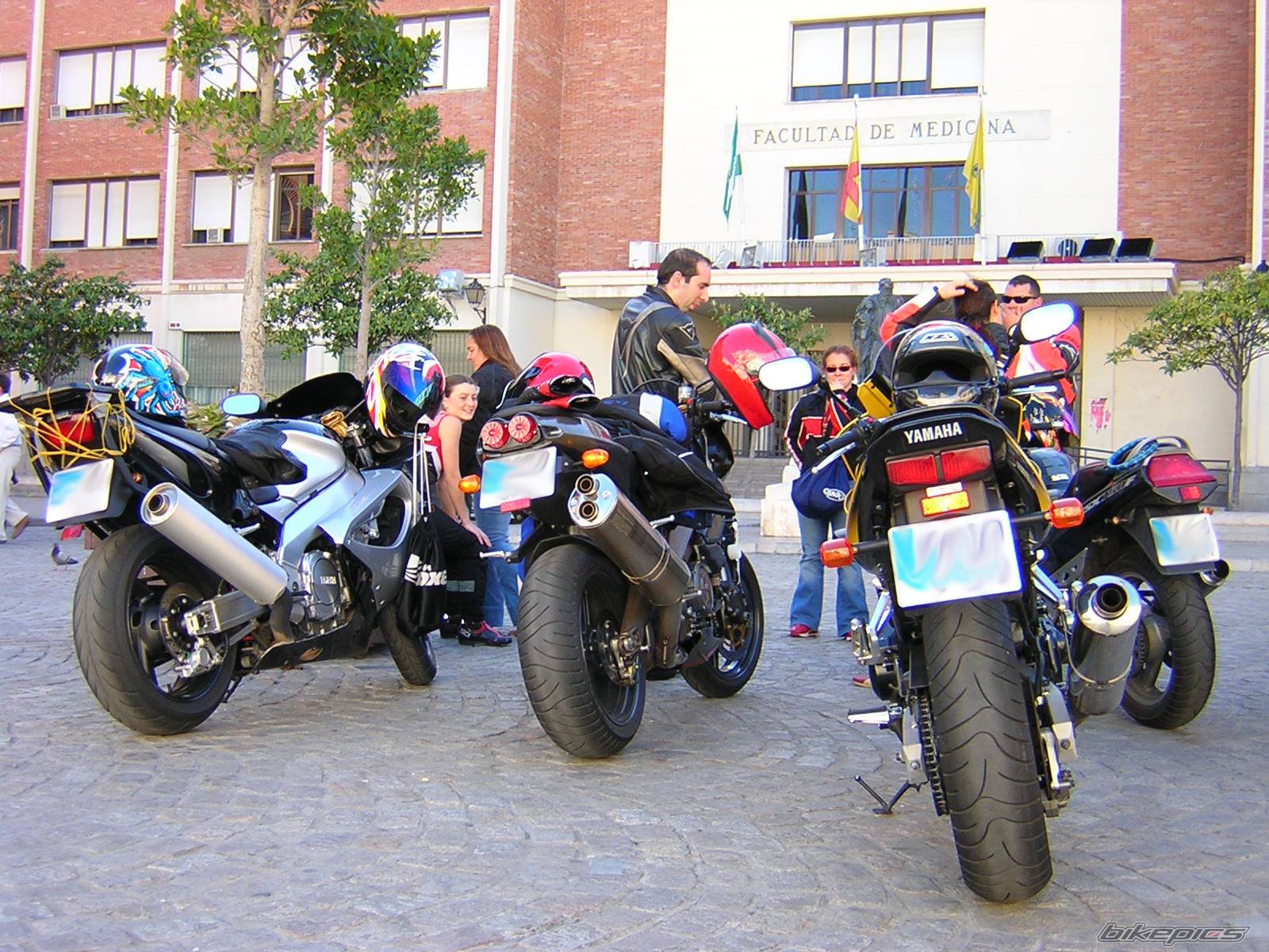 Bike Photo 273377