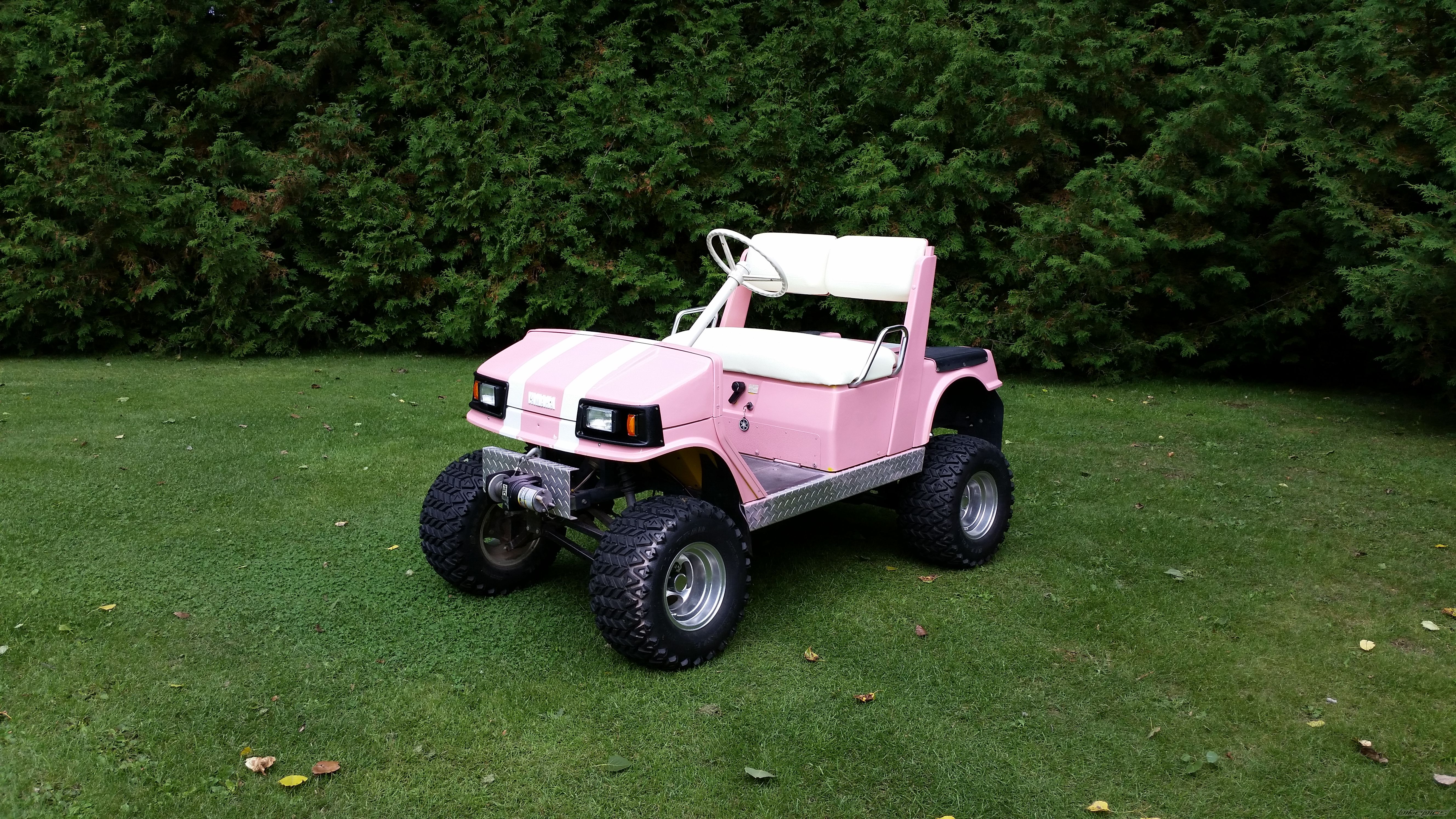 Photo 2733788