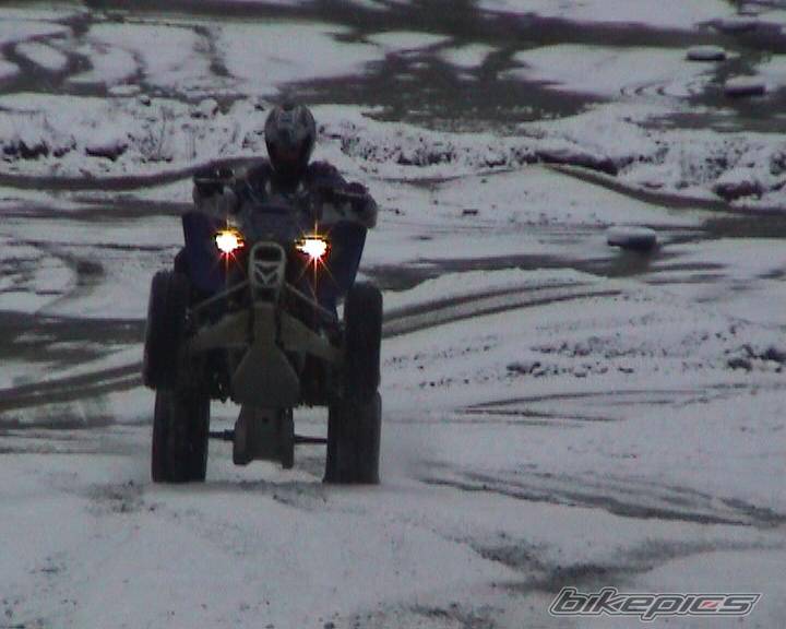 Photo 273388