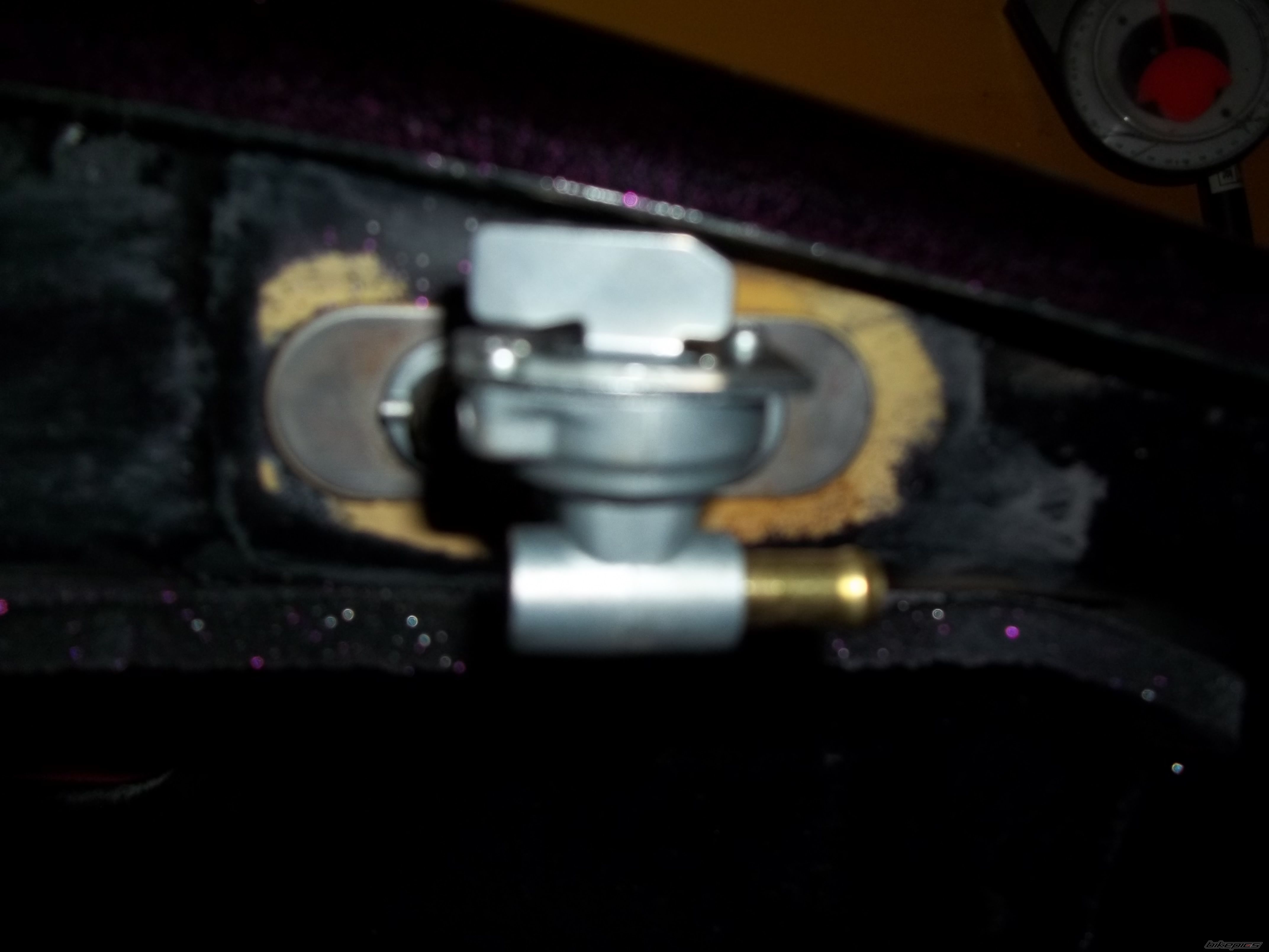 Photo 2733899