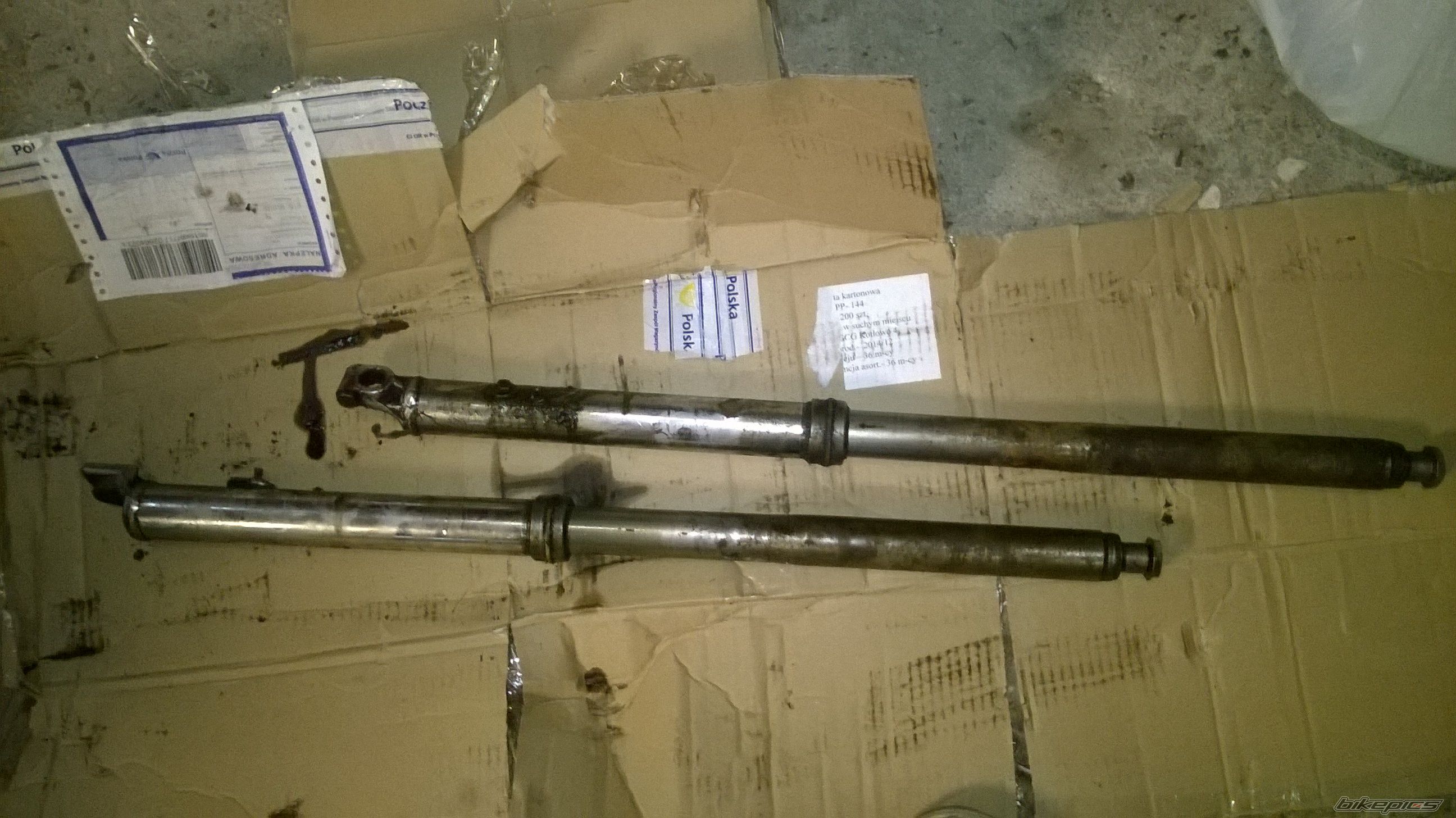Photo 2733947