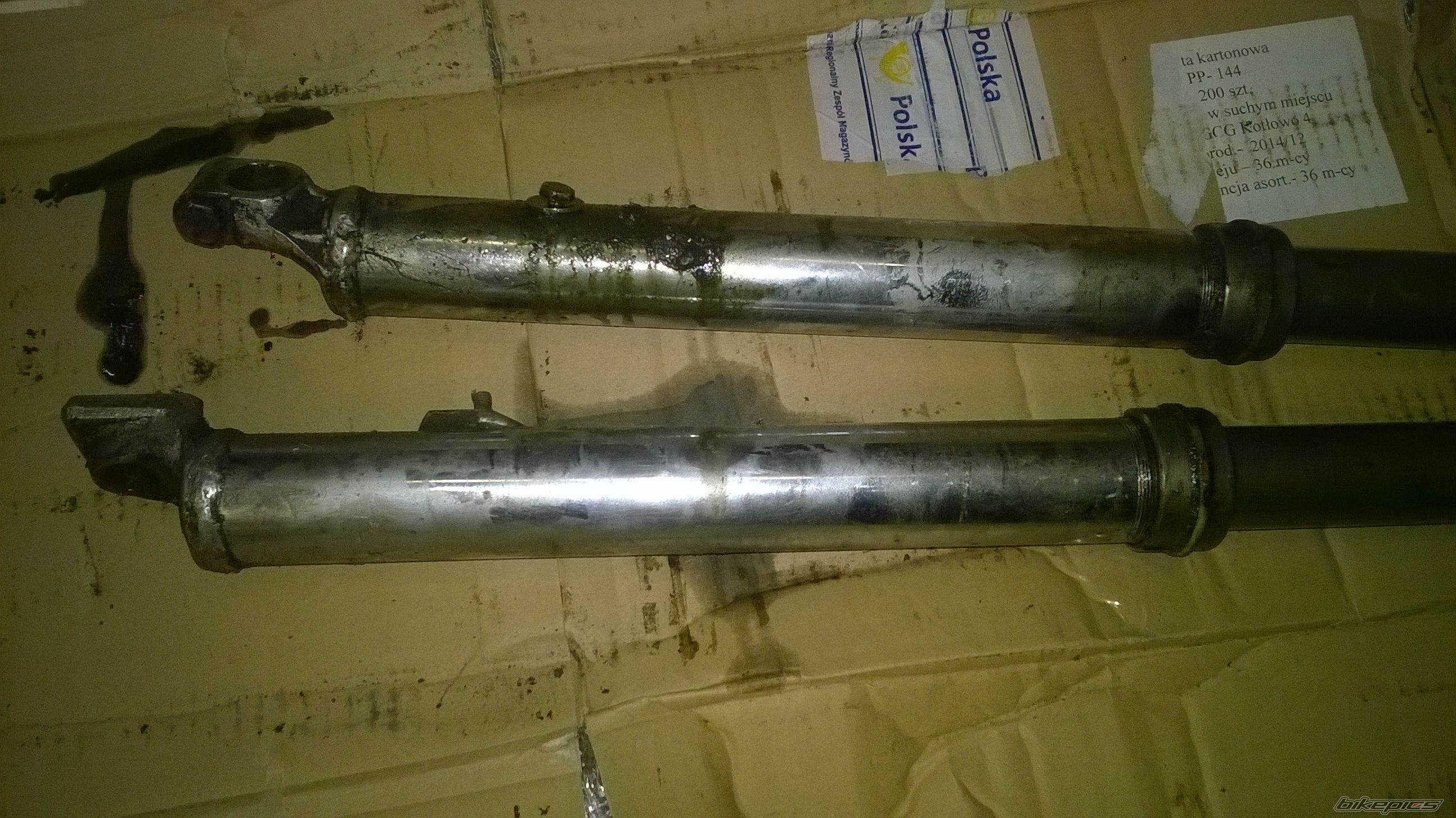 Photo 2733948