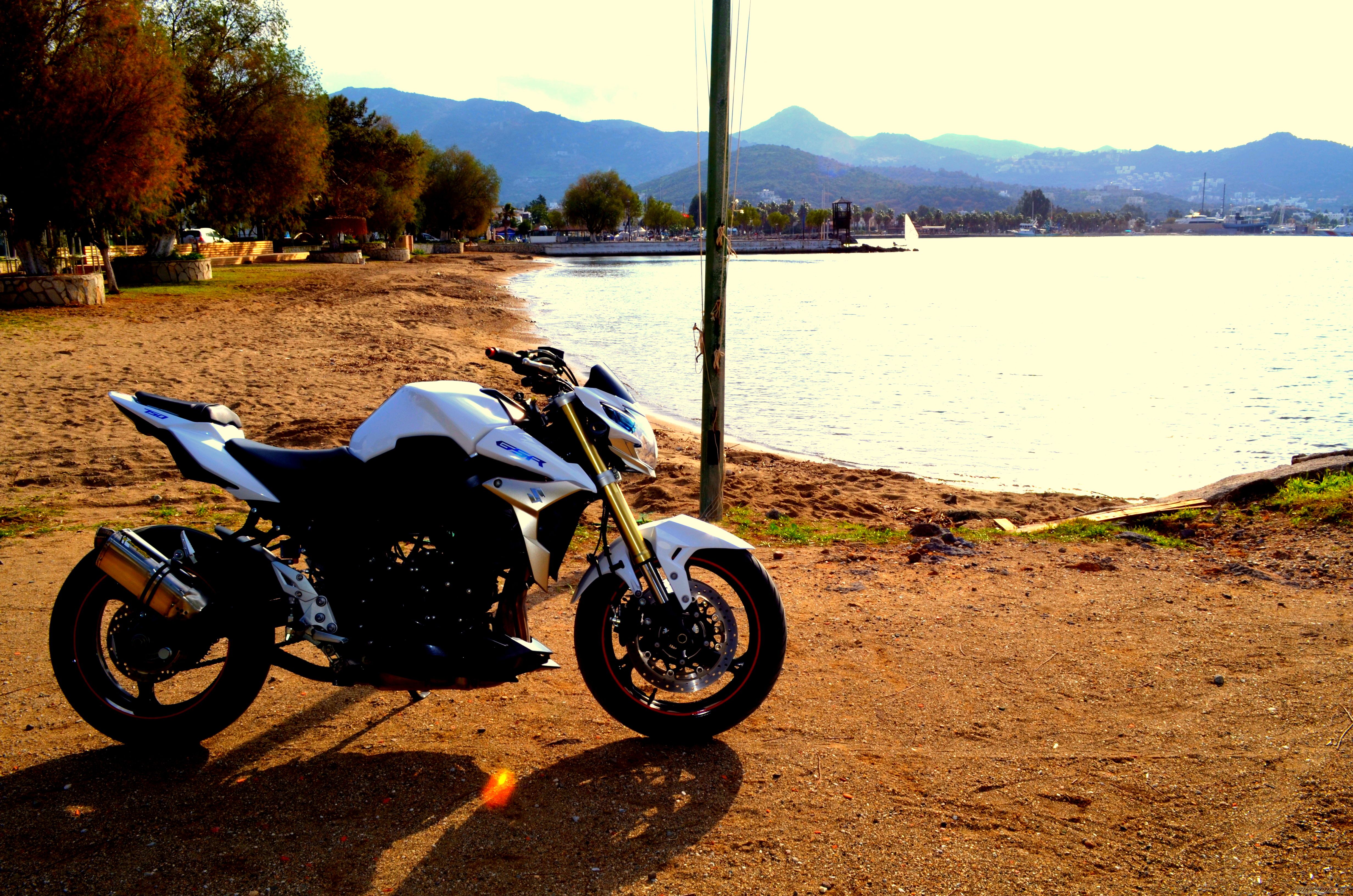 Photo 2733989