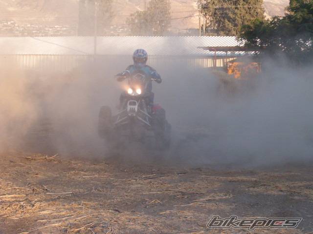 Photo 273415
