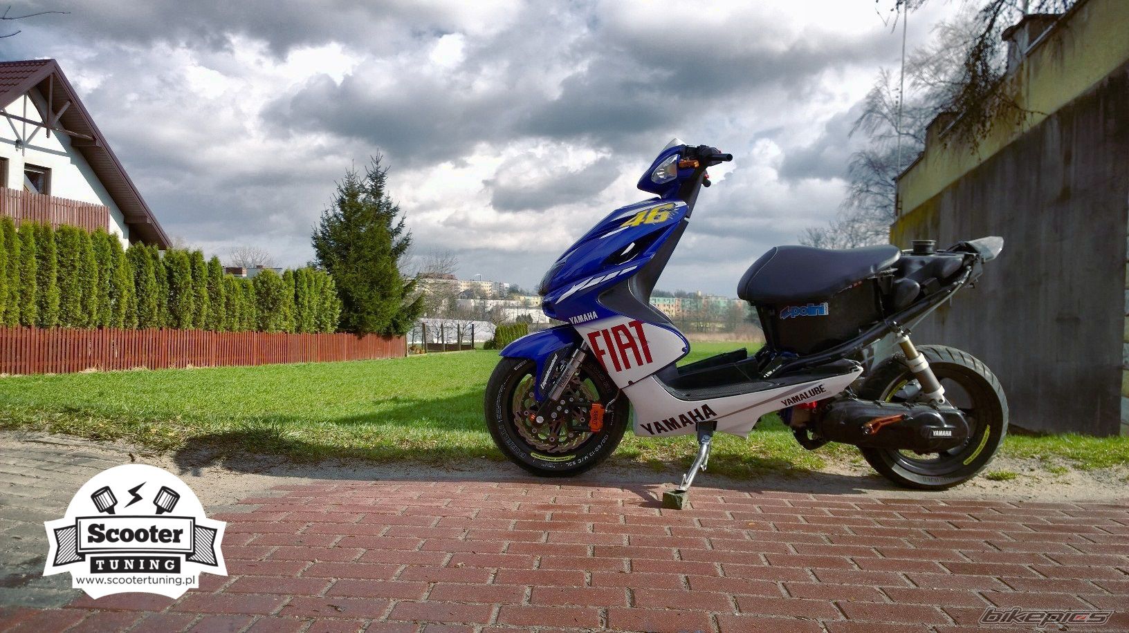 Photo 2734254