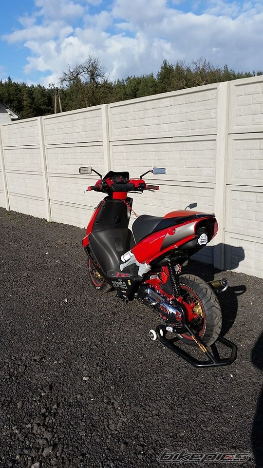 Photo 2734257