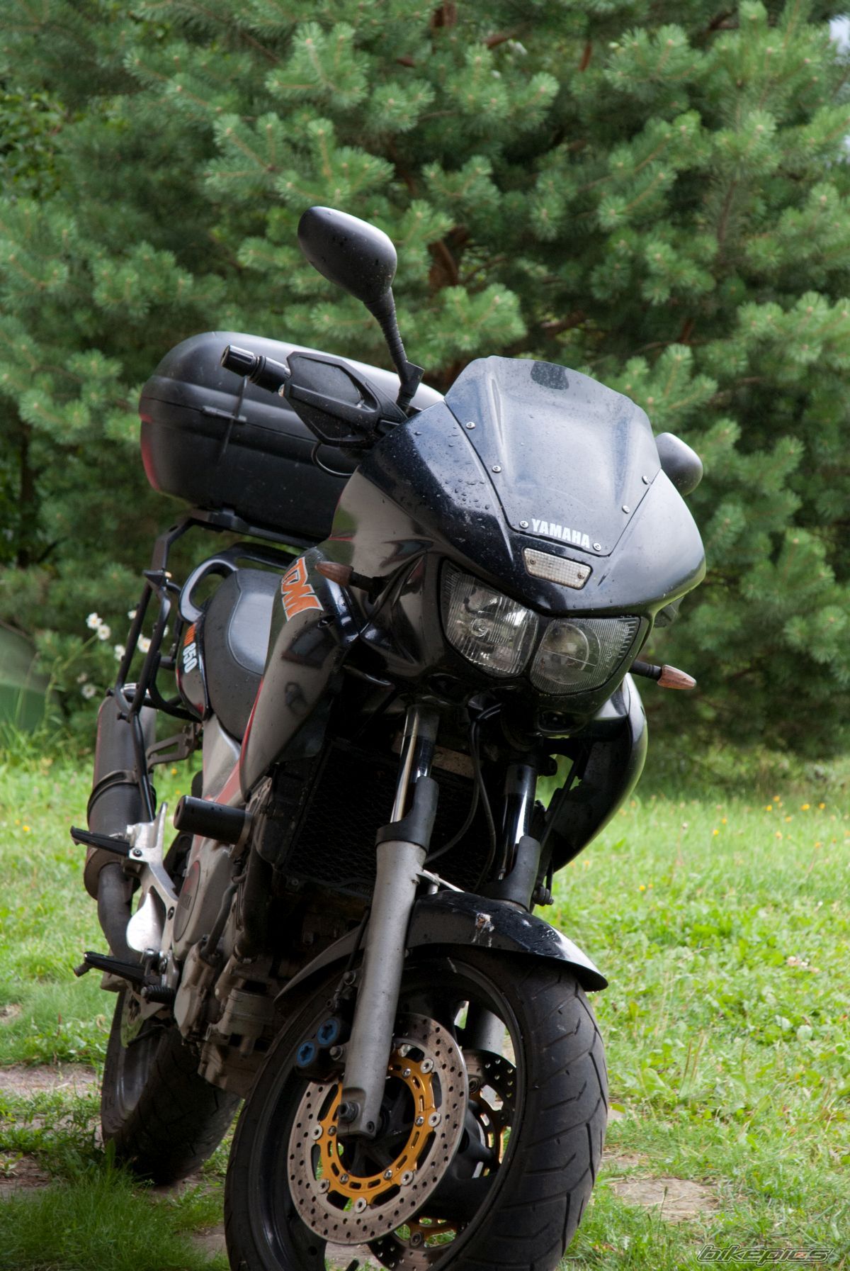 Photo 2734303