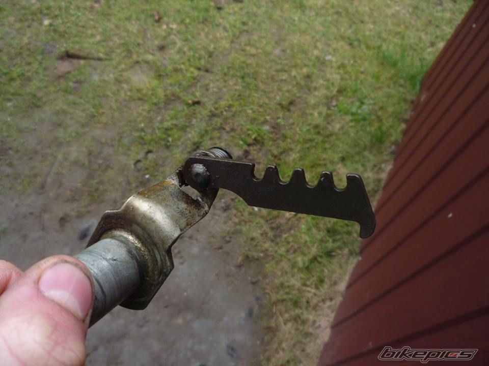 Photo 2734450