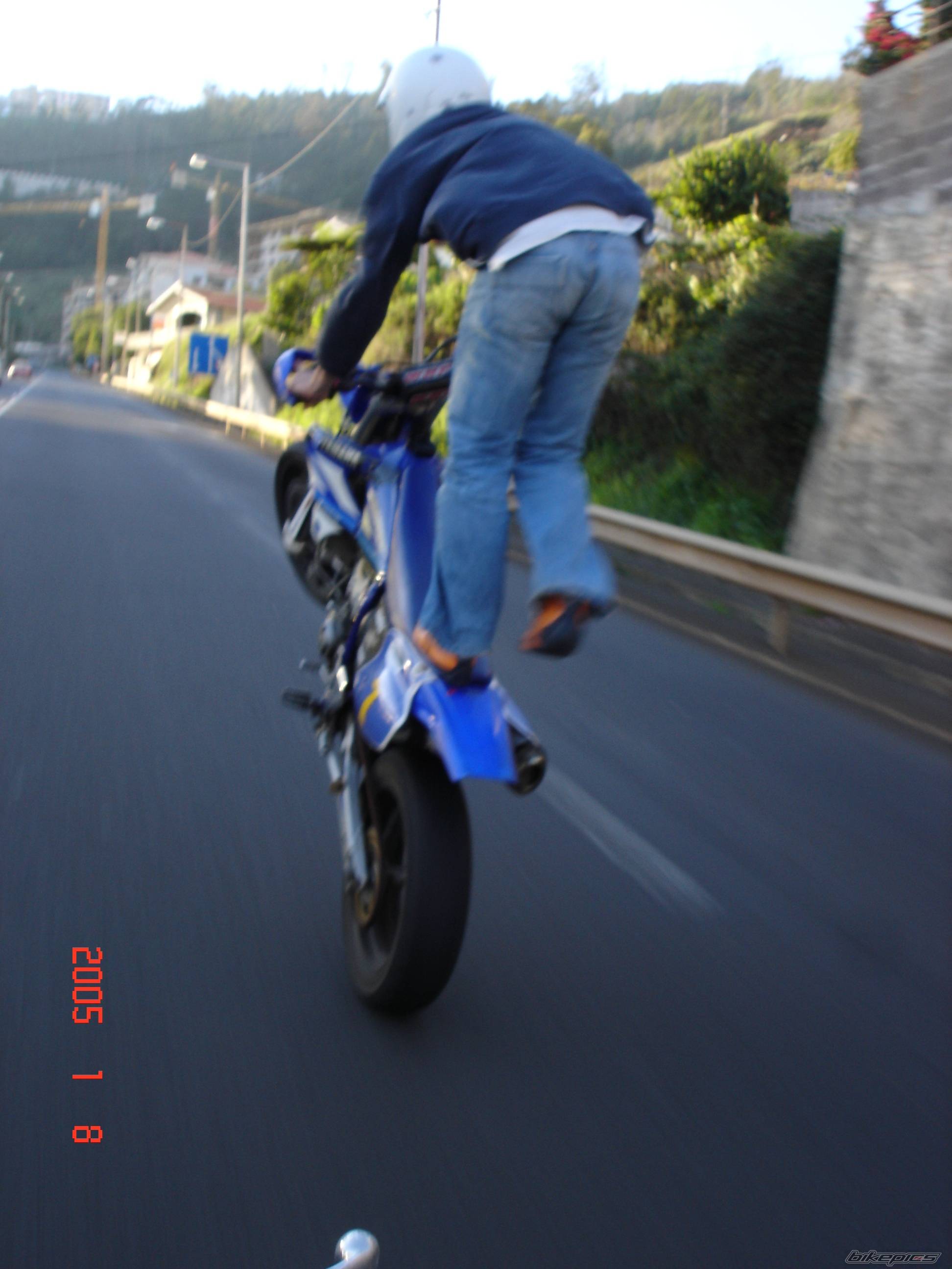 Photo 273449