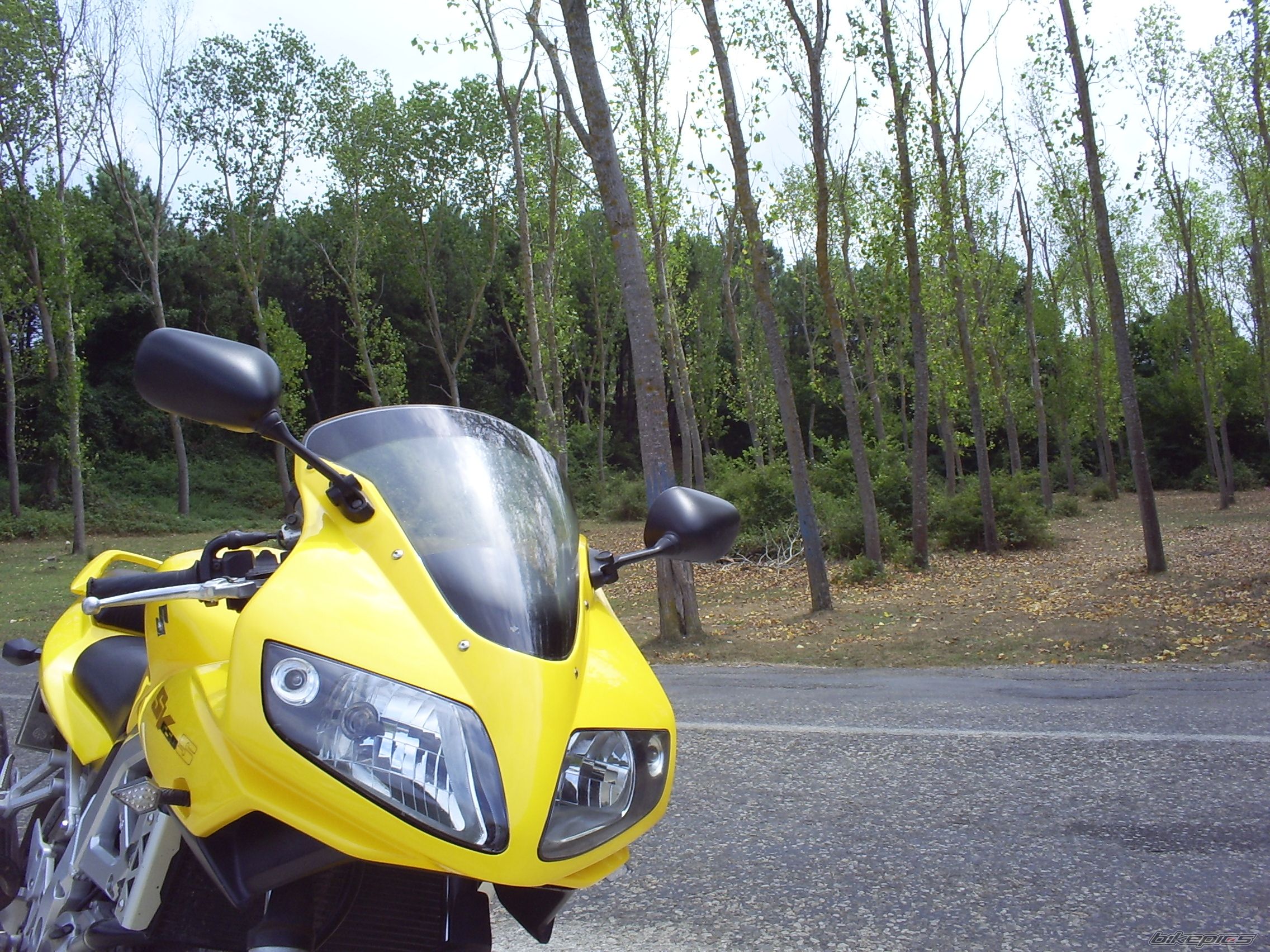 Photo 2734508