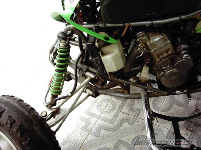 Photo 273452