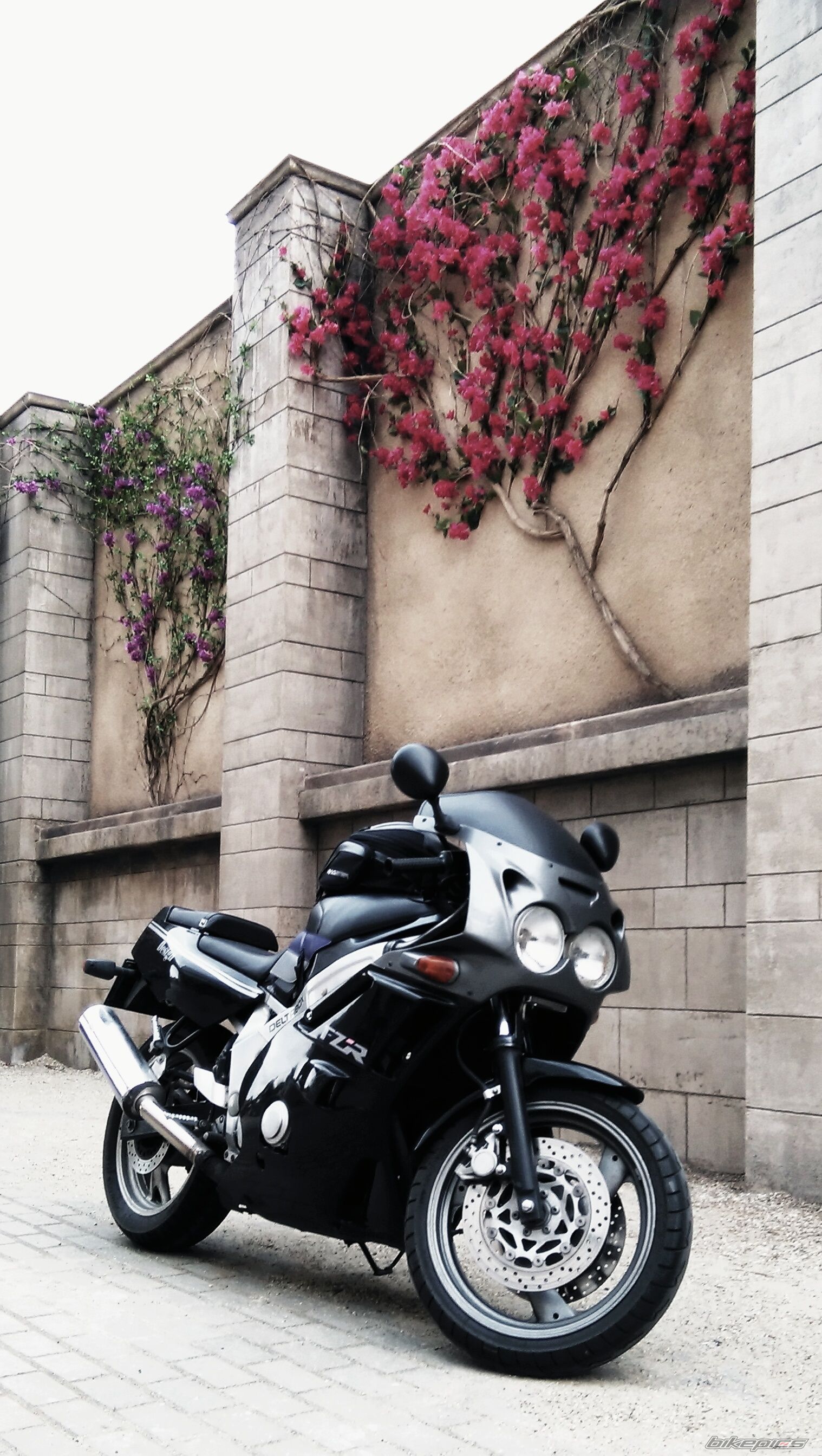 Photo 2734552