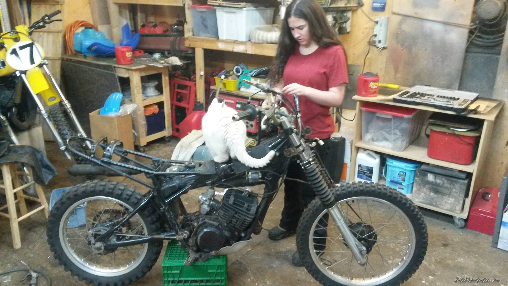 Photo 2734916