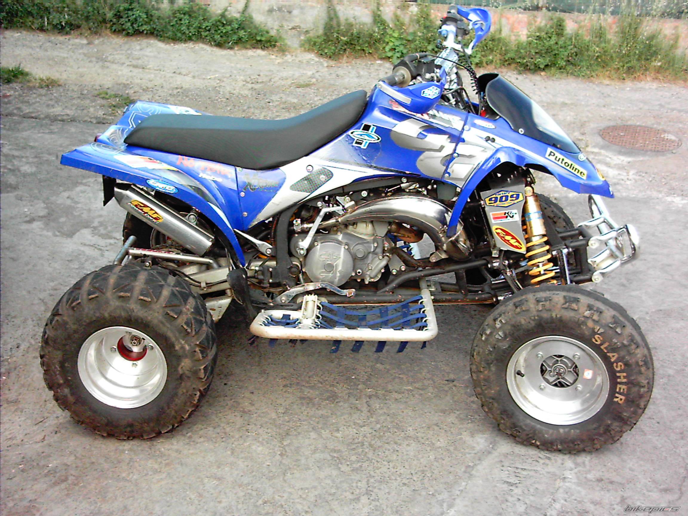 Photo 273492