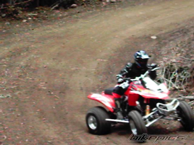 Photo 273496