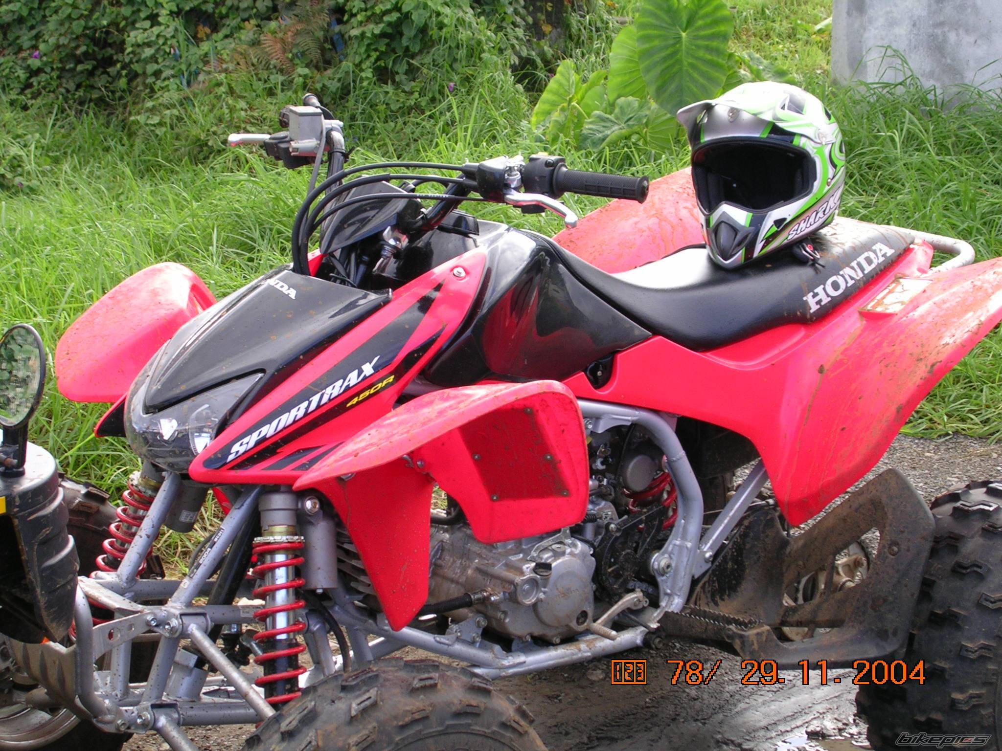 Photo 273503