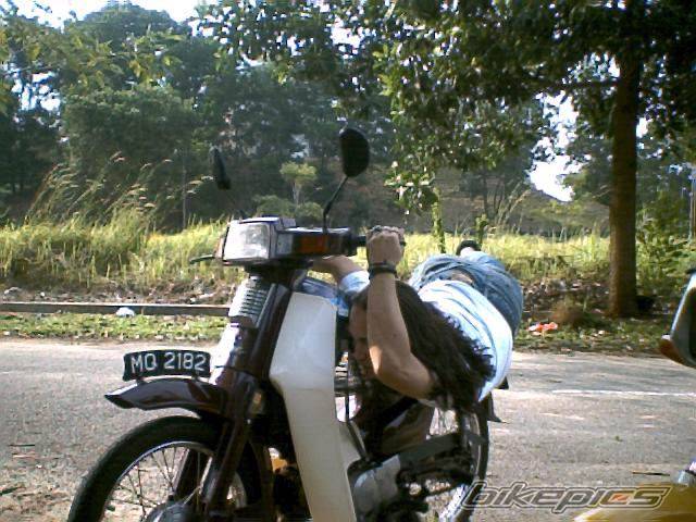 Photo 273510