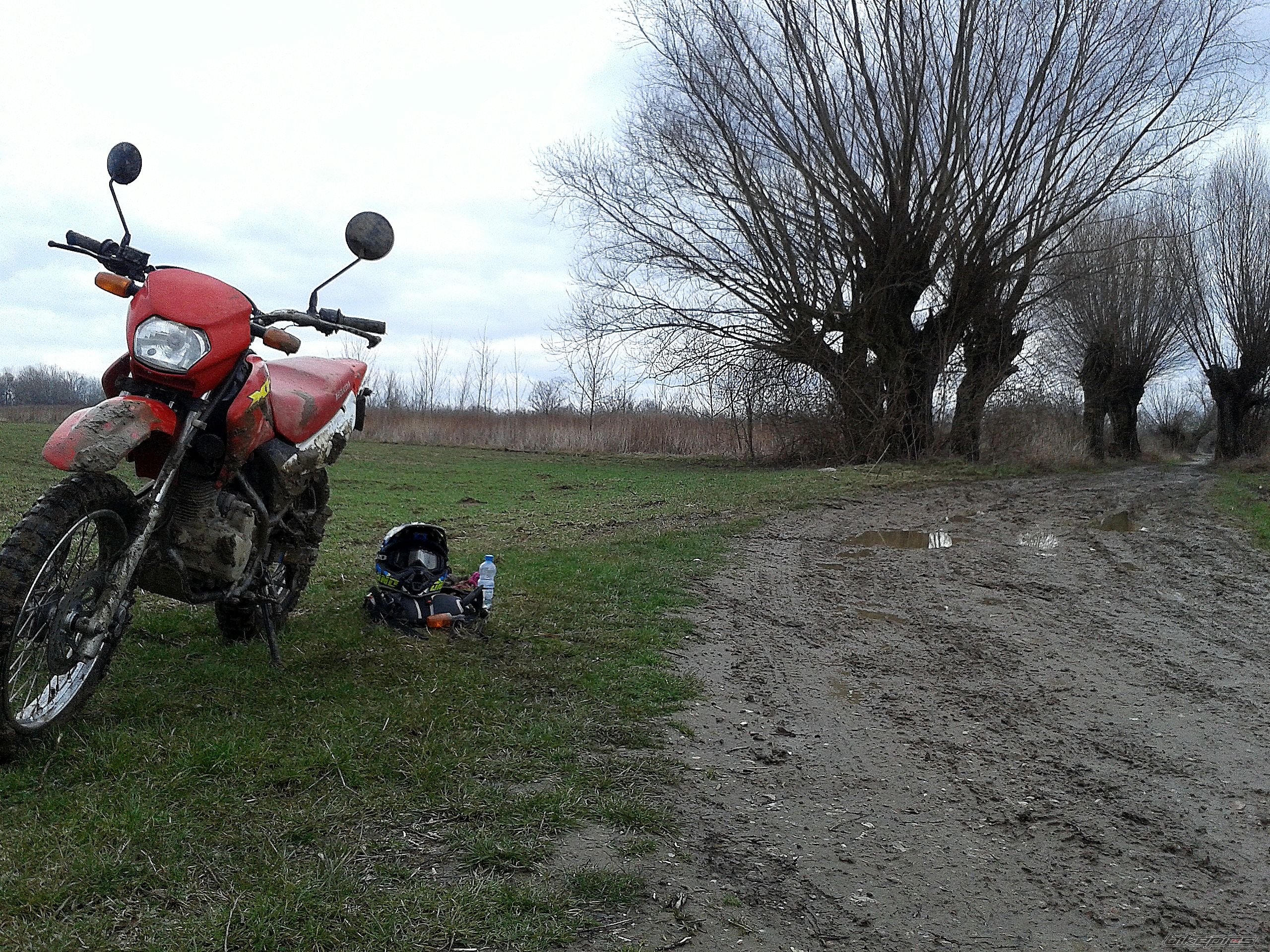 Photo 2735174