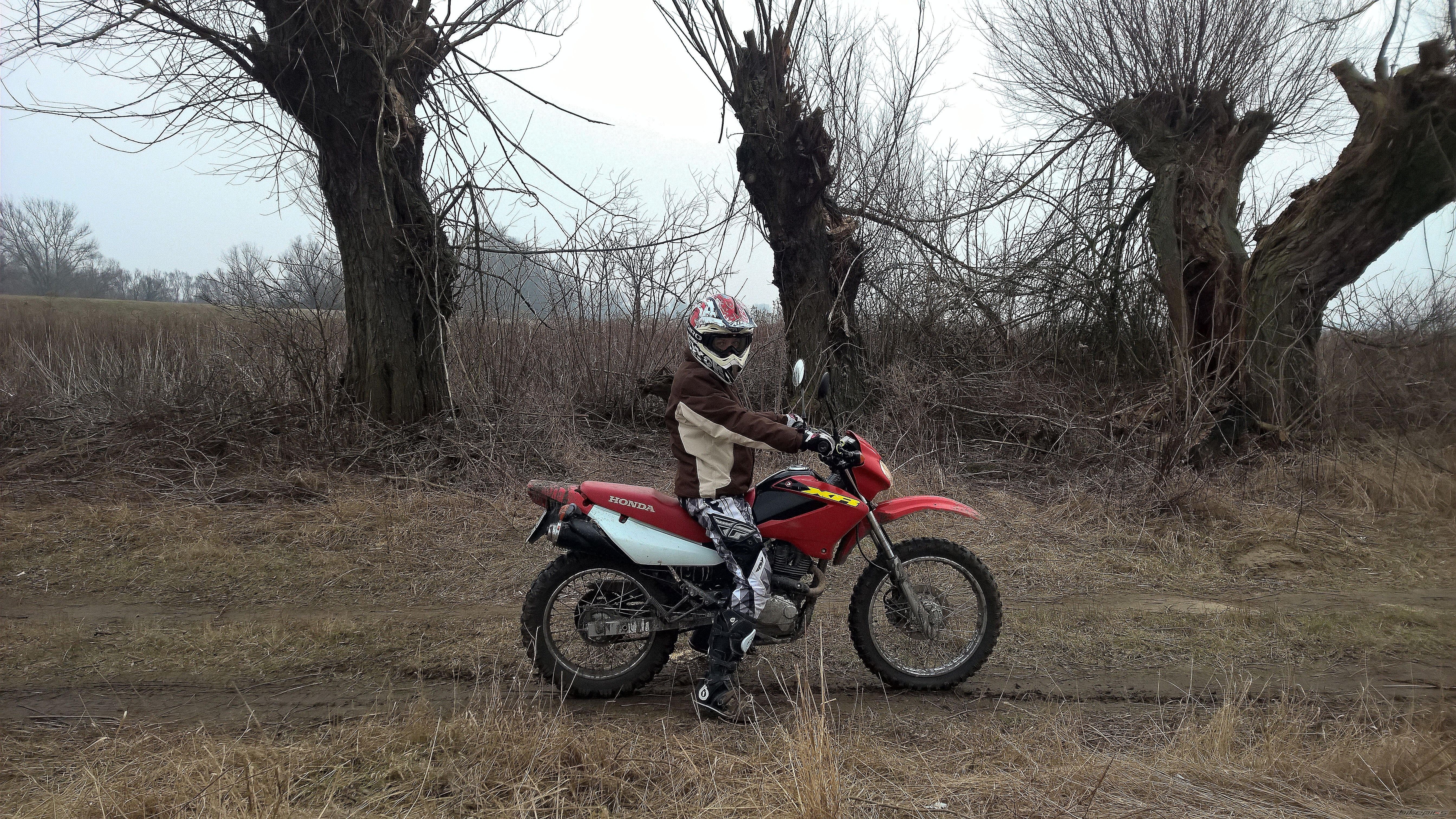 Bike Photo 2735186