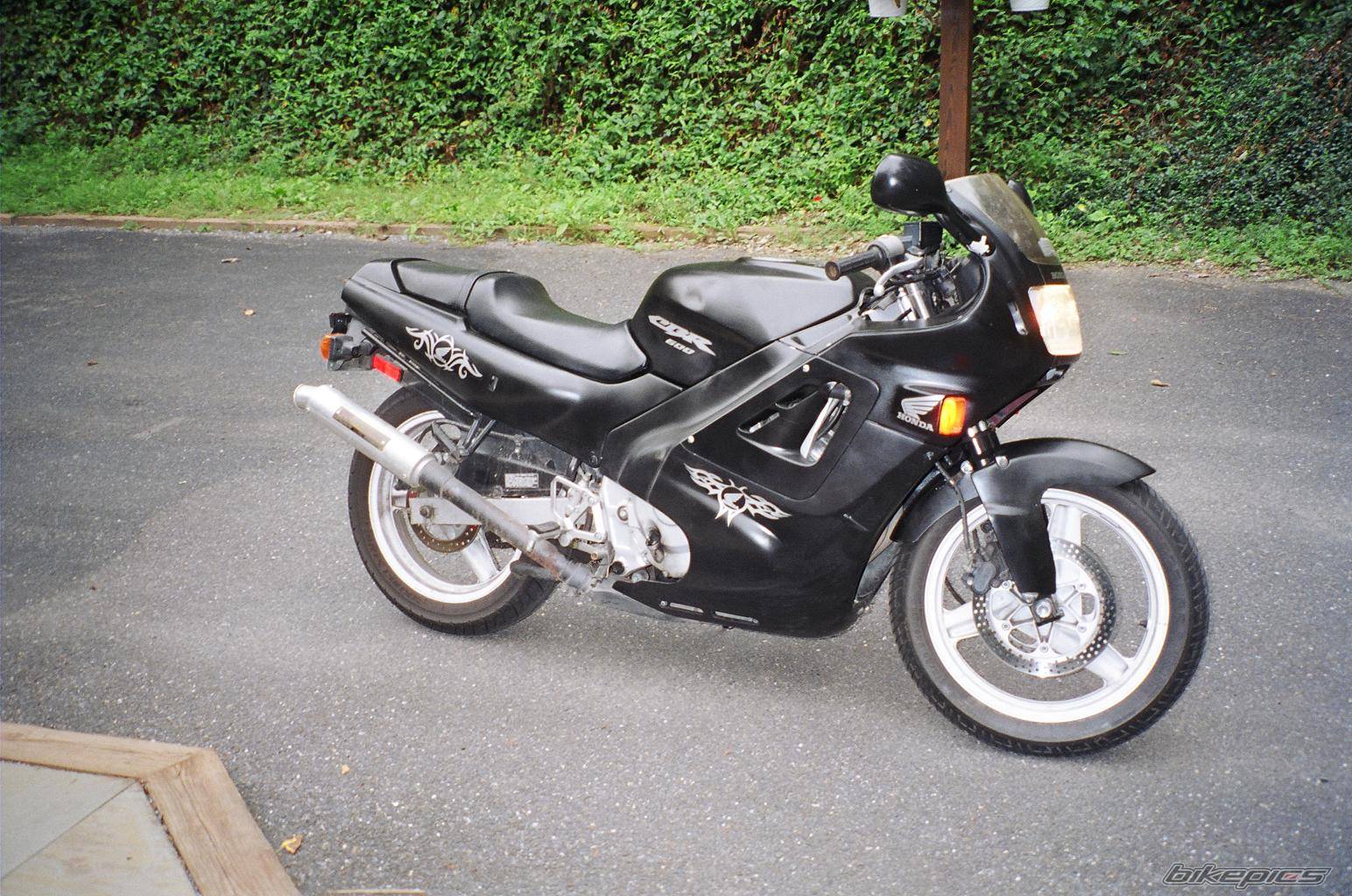 Photo 273520