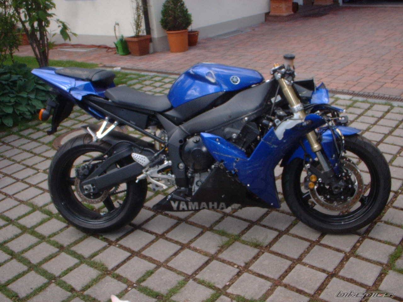 Photo 273528