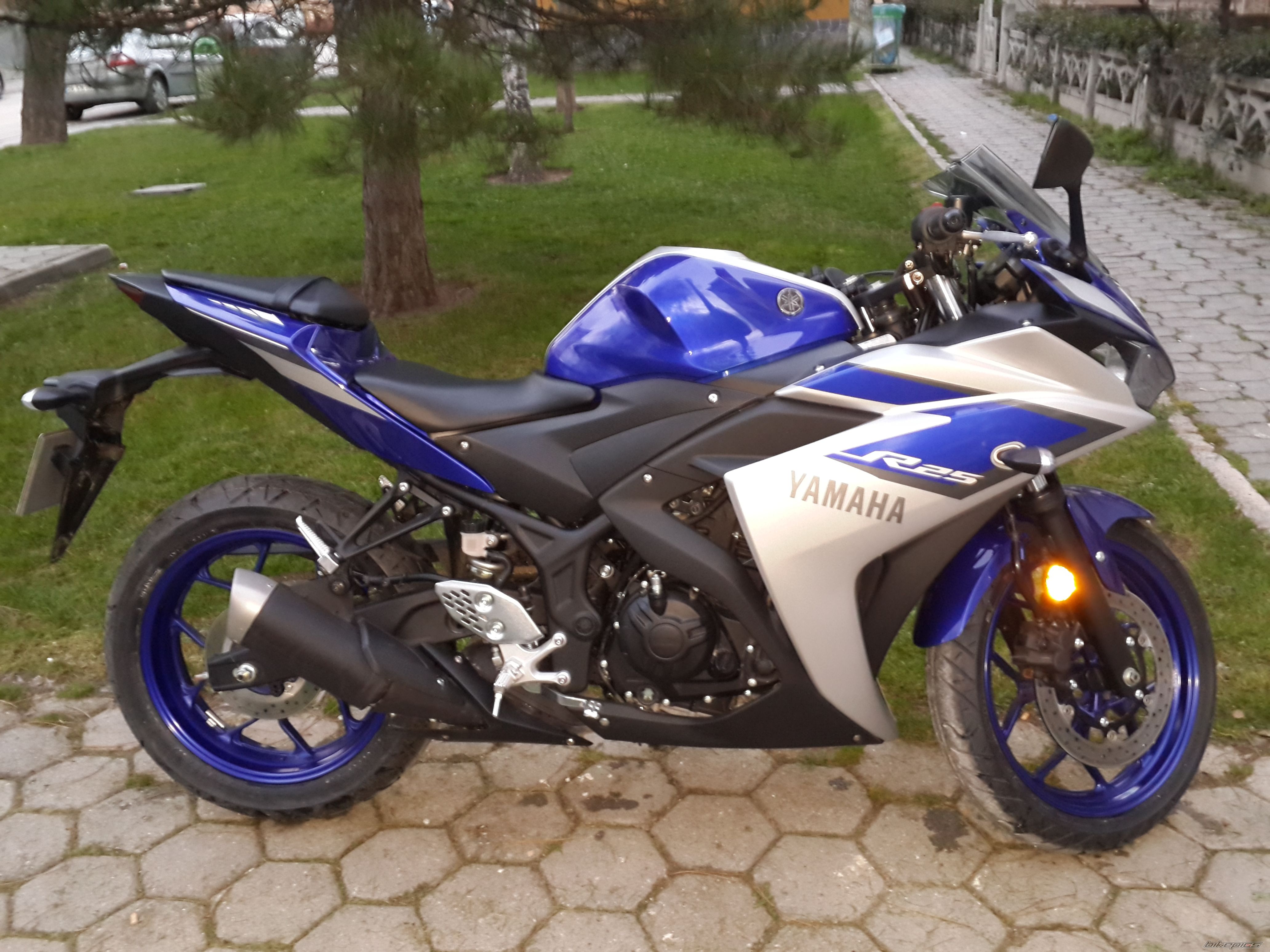 Photo 2735433