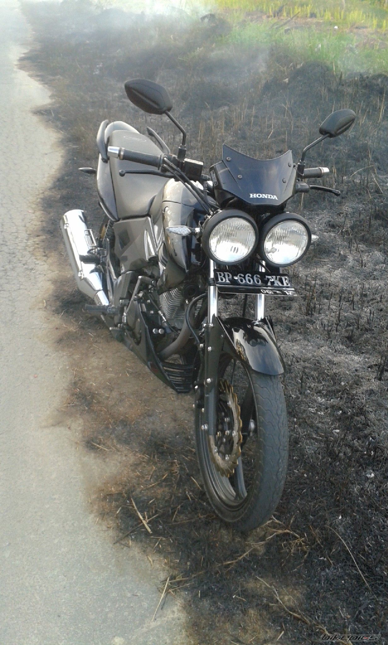 Photo 2735454