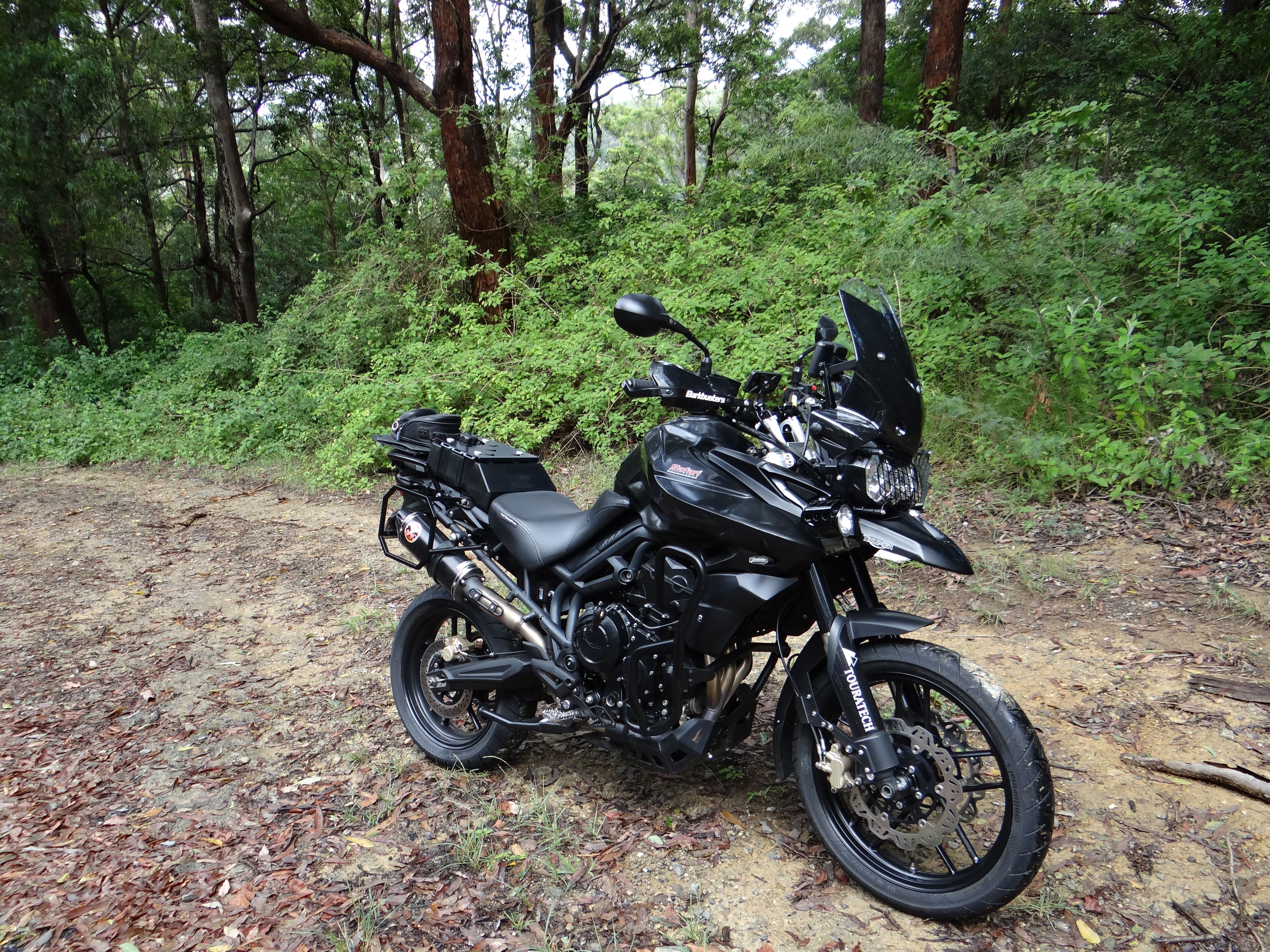 Photo 2735513