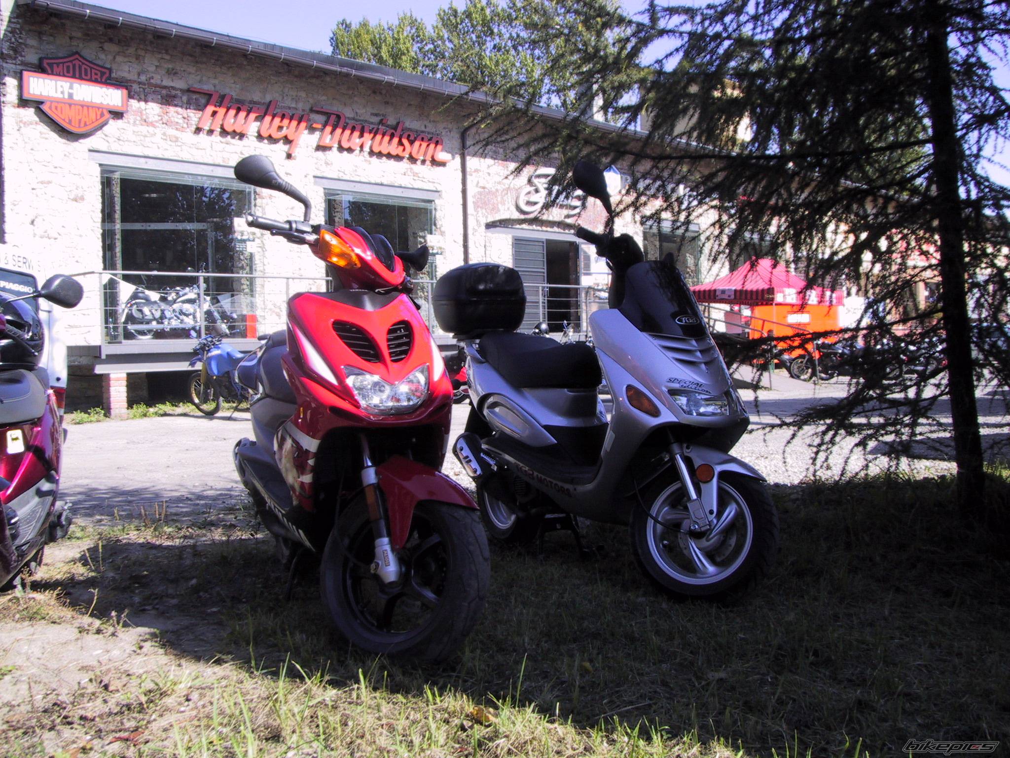 Photo 273562
