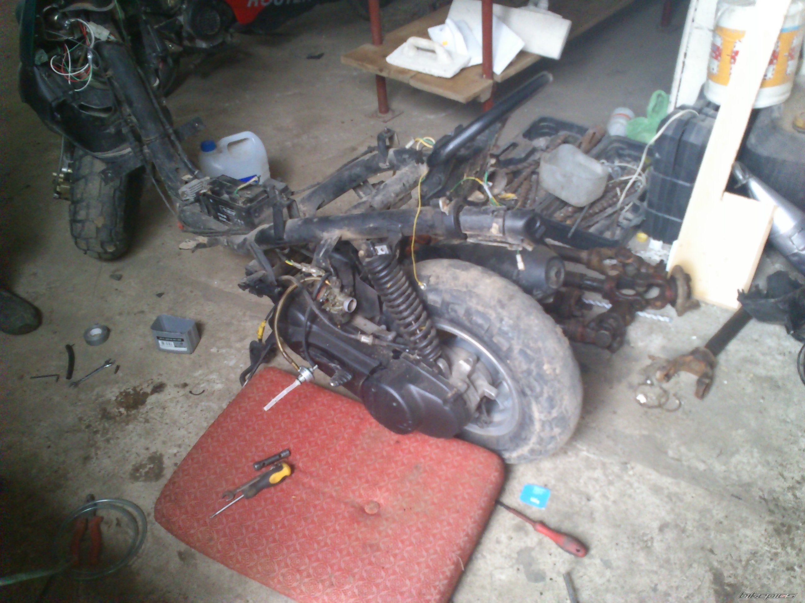 Photo 2735648