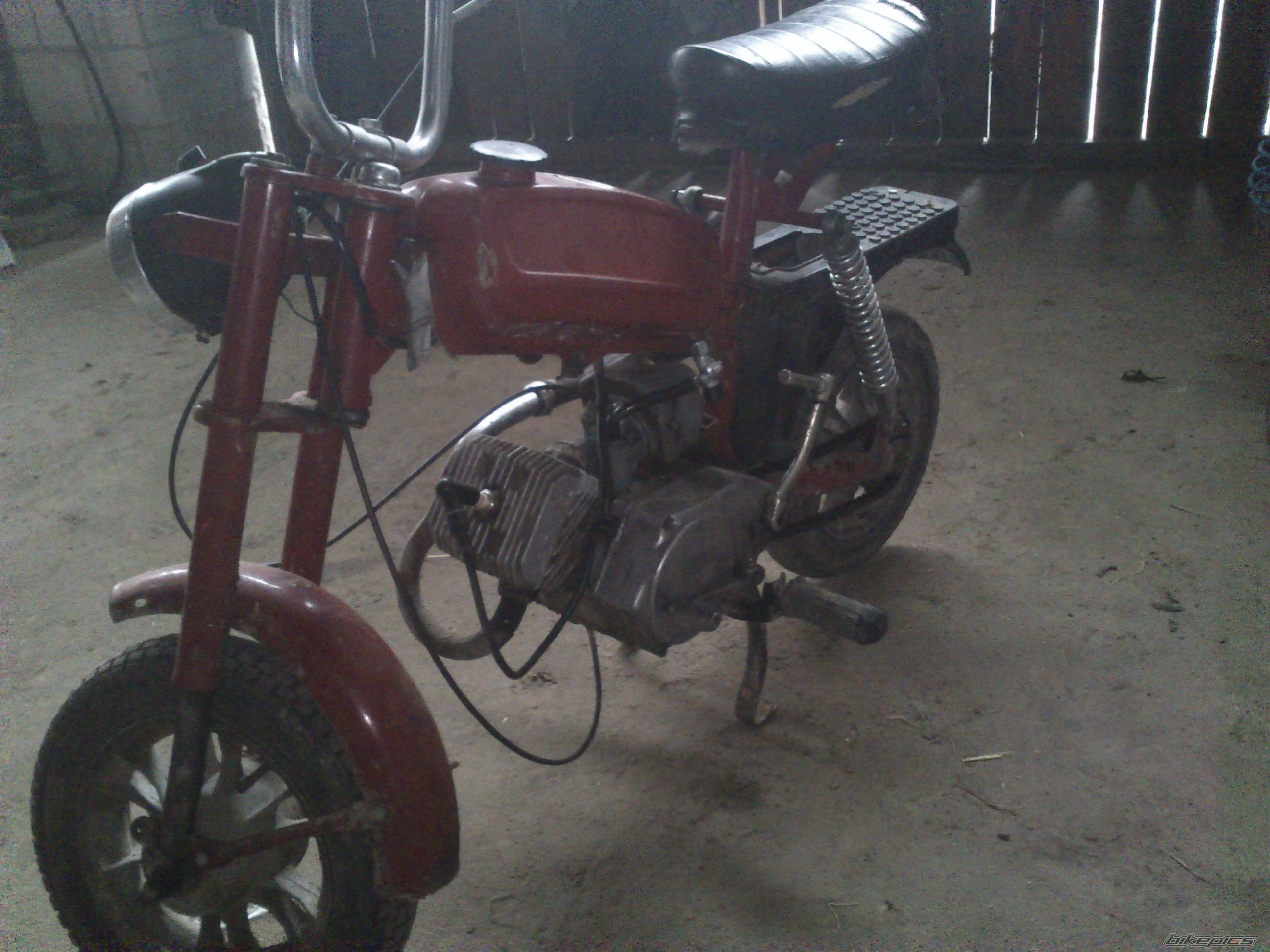 Photo 2735653