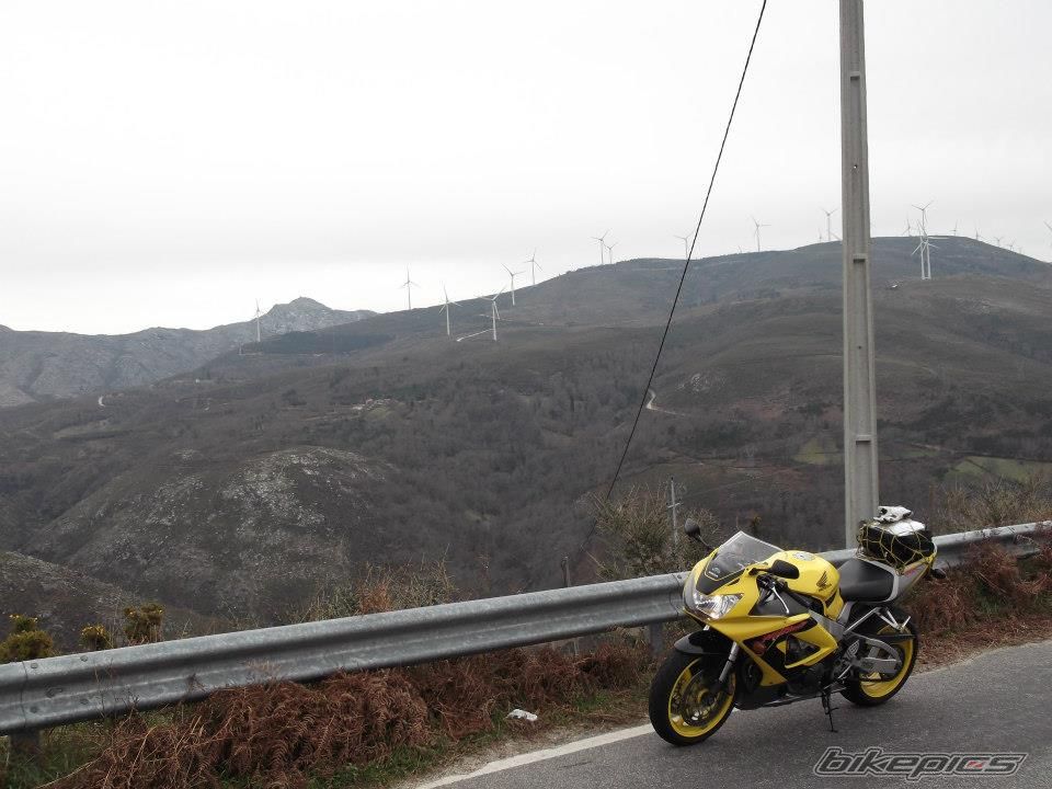 Photo 2735707