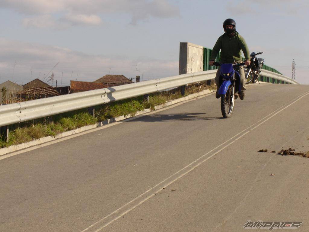 Bike Photo 273580