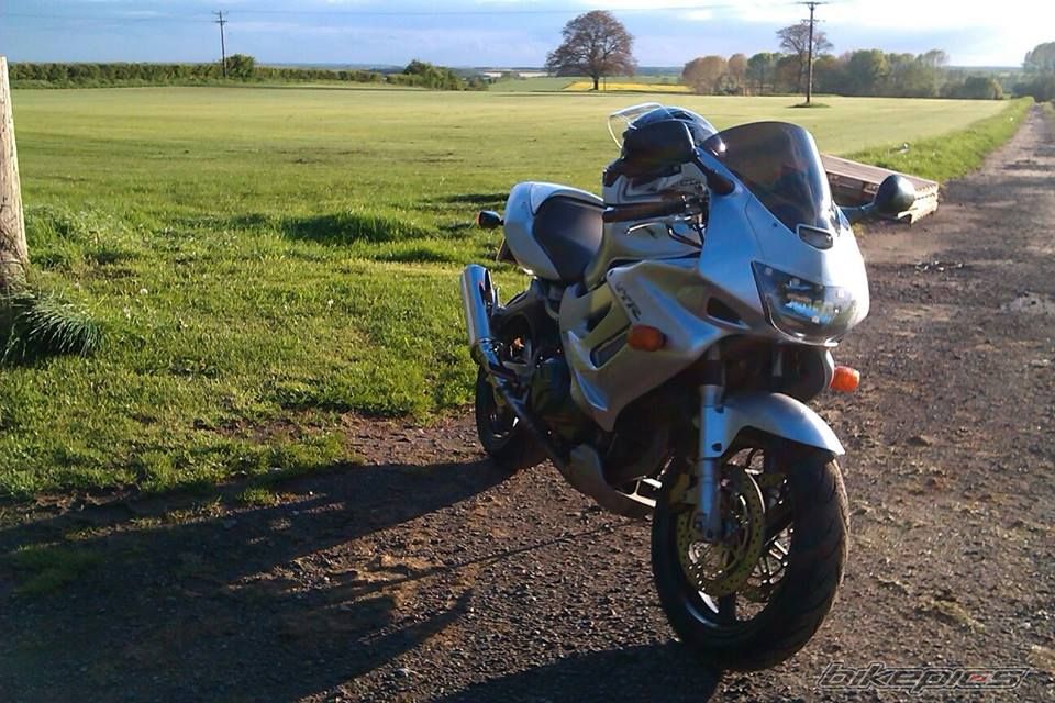 Photo 2735975
