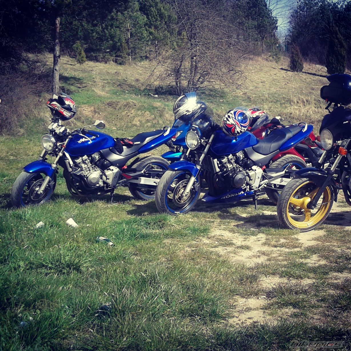 Photo 2736035