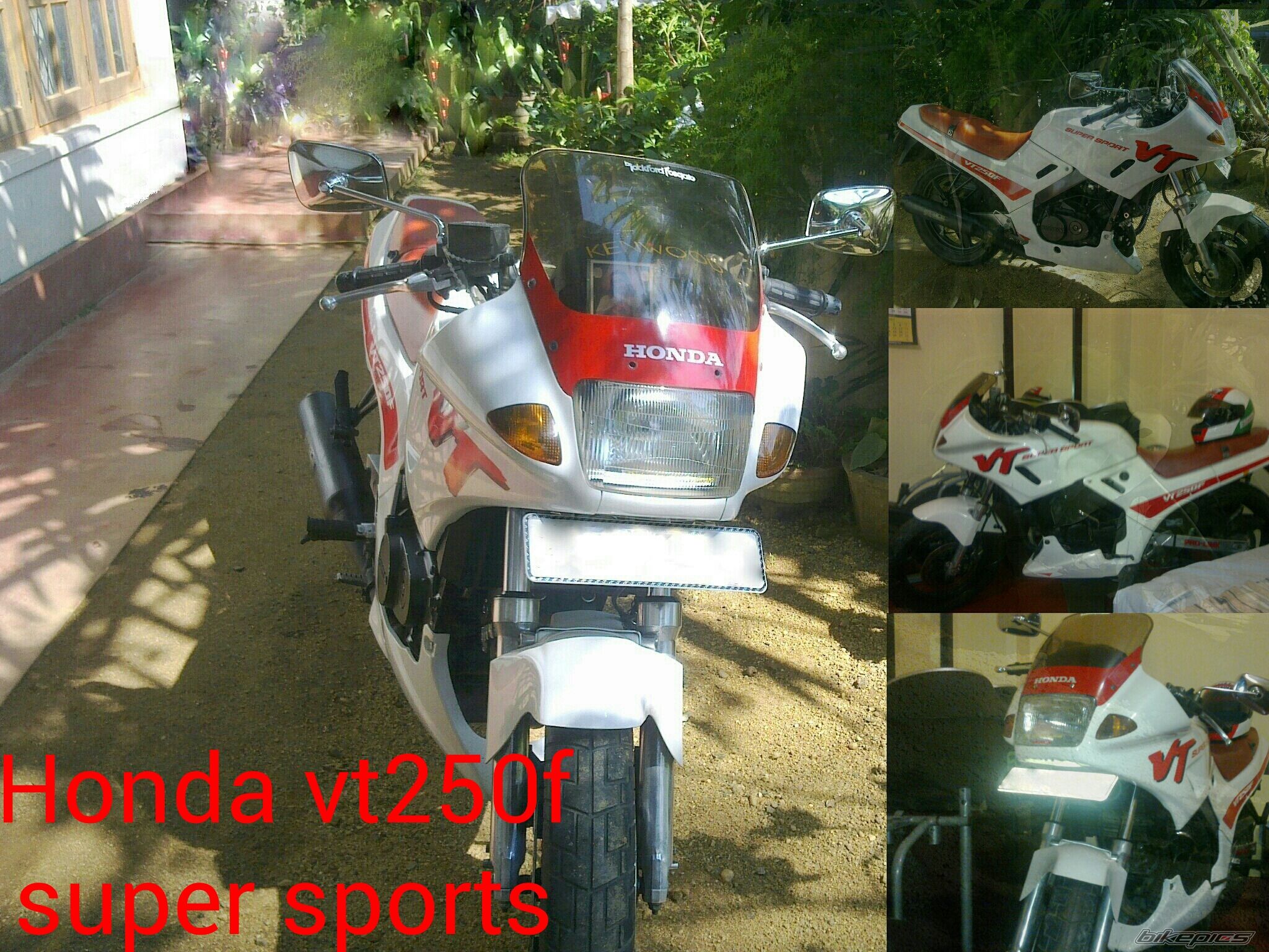 Photo 2736160