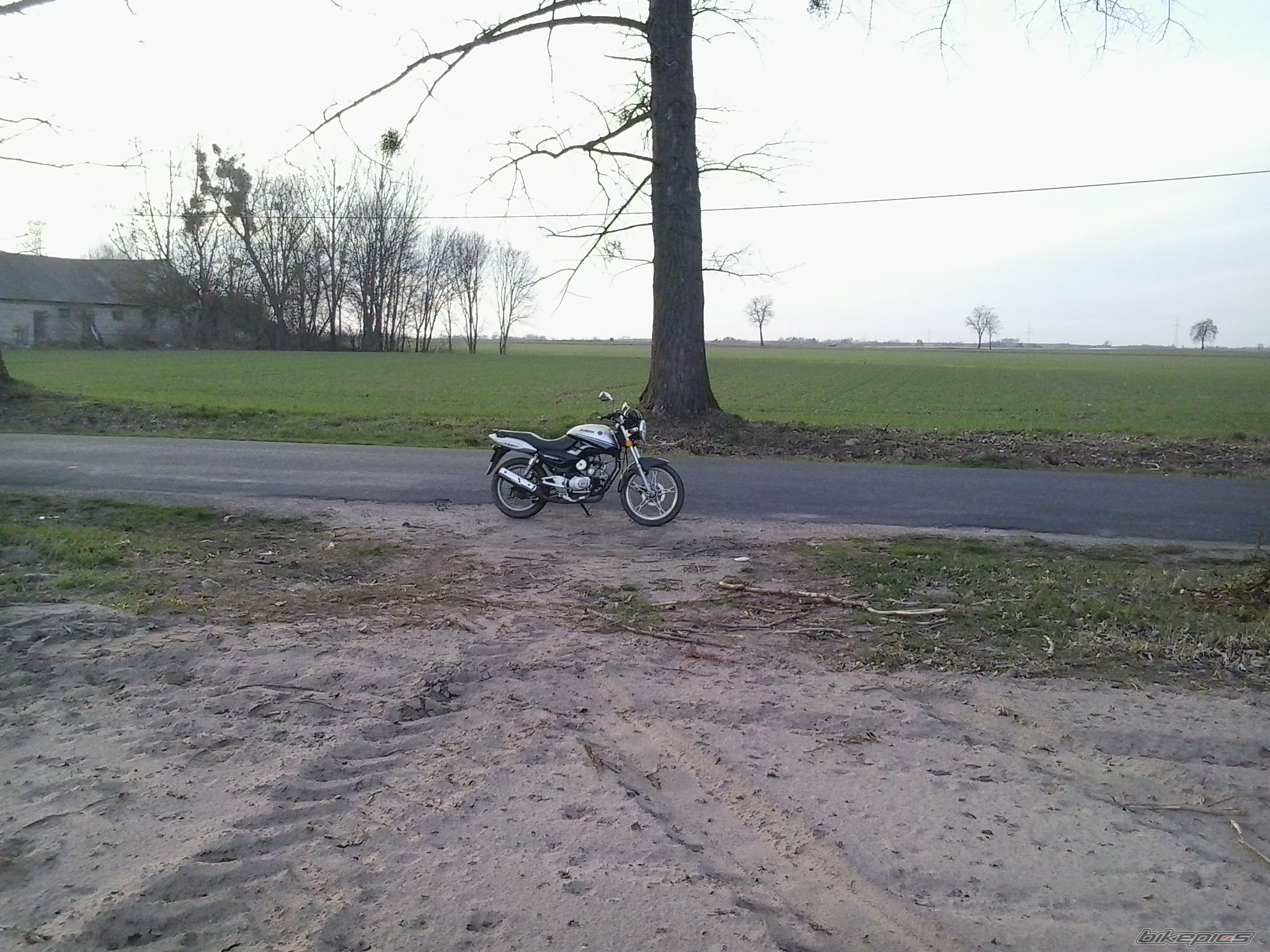 Photo 2736194